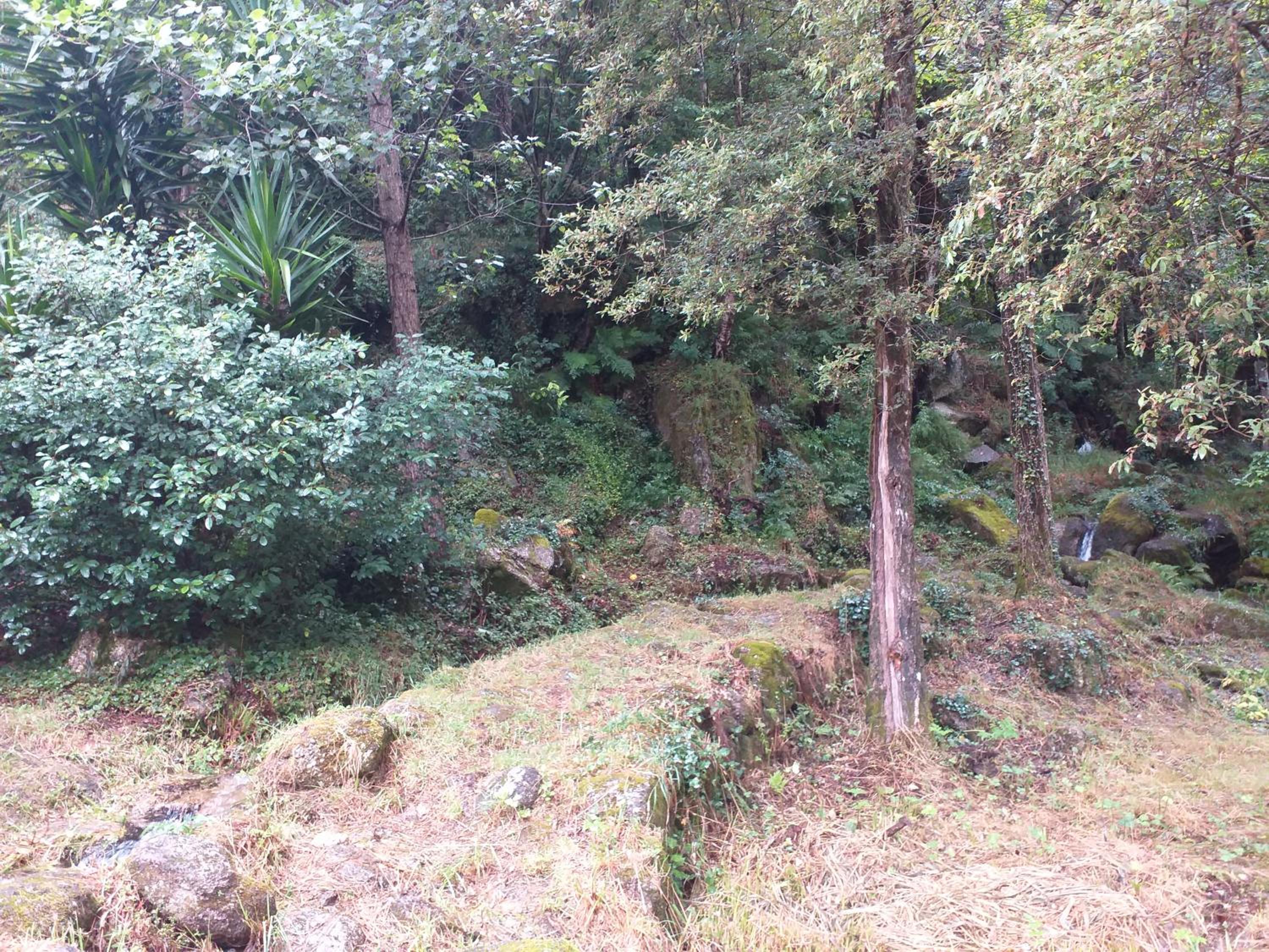 Photo 27