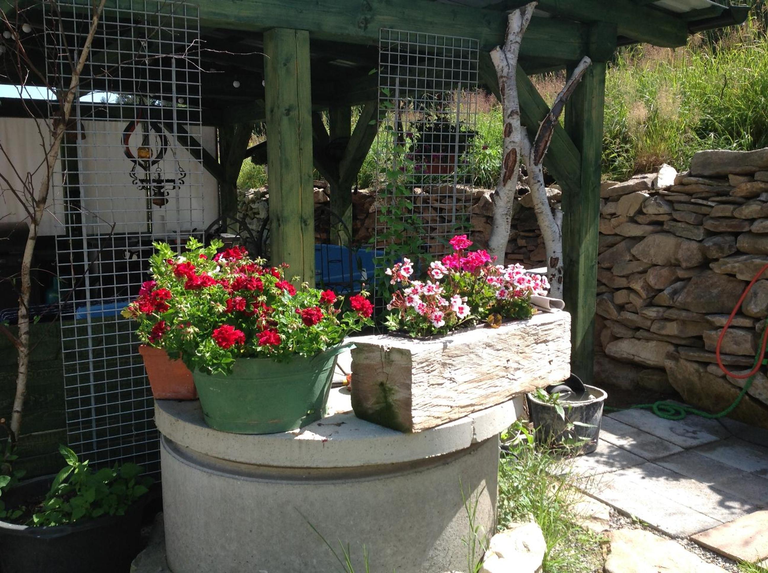 Photo 47
