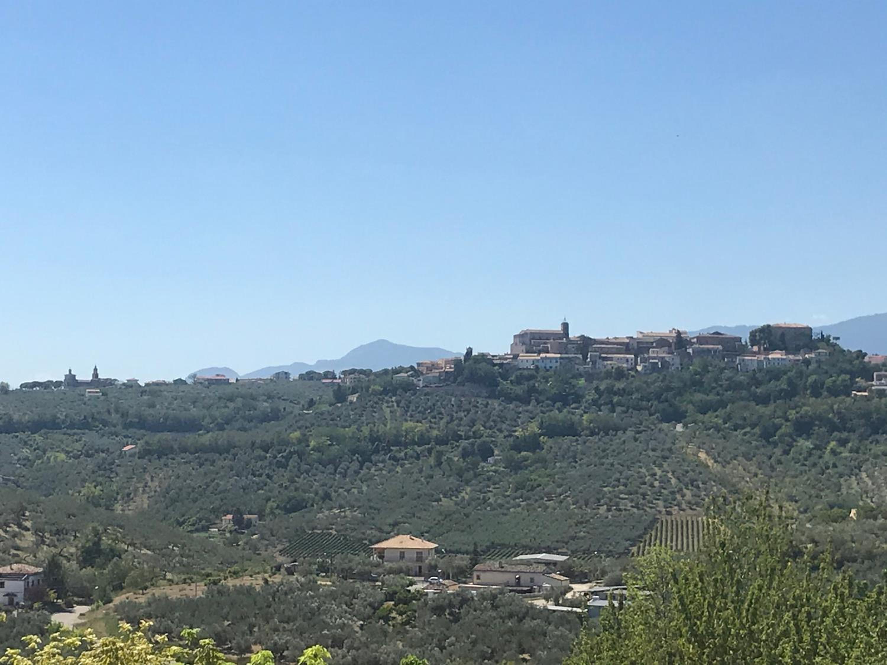 L'Oleandro view 2