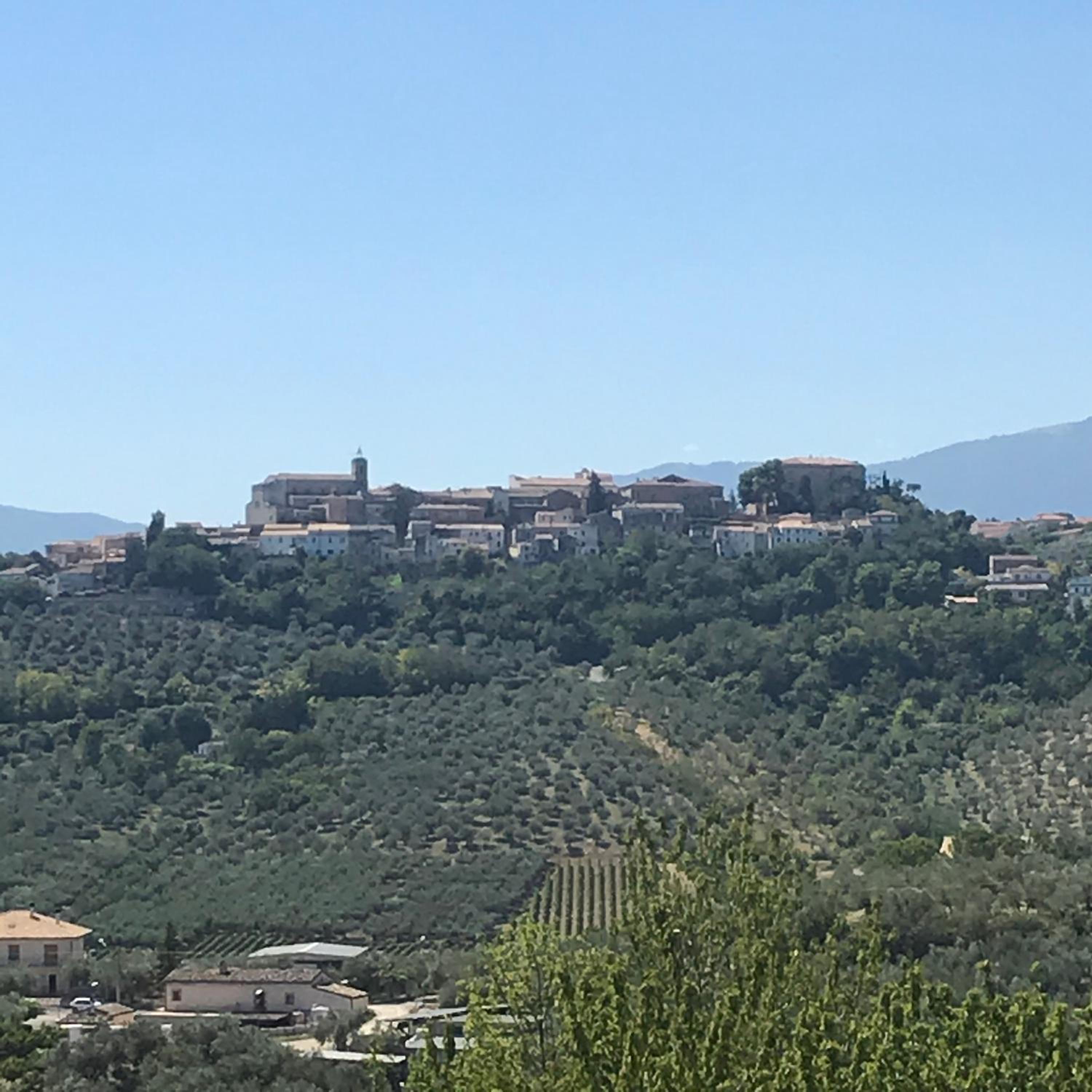 L'Oleandro view 3