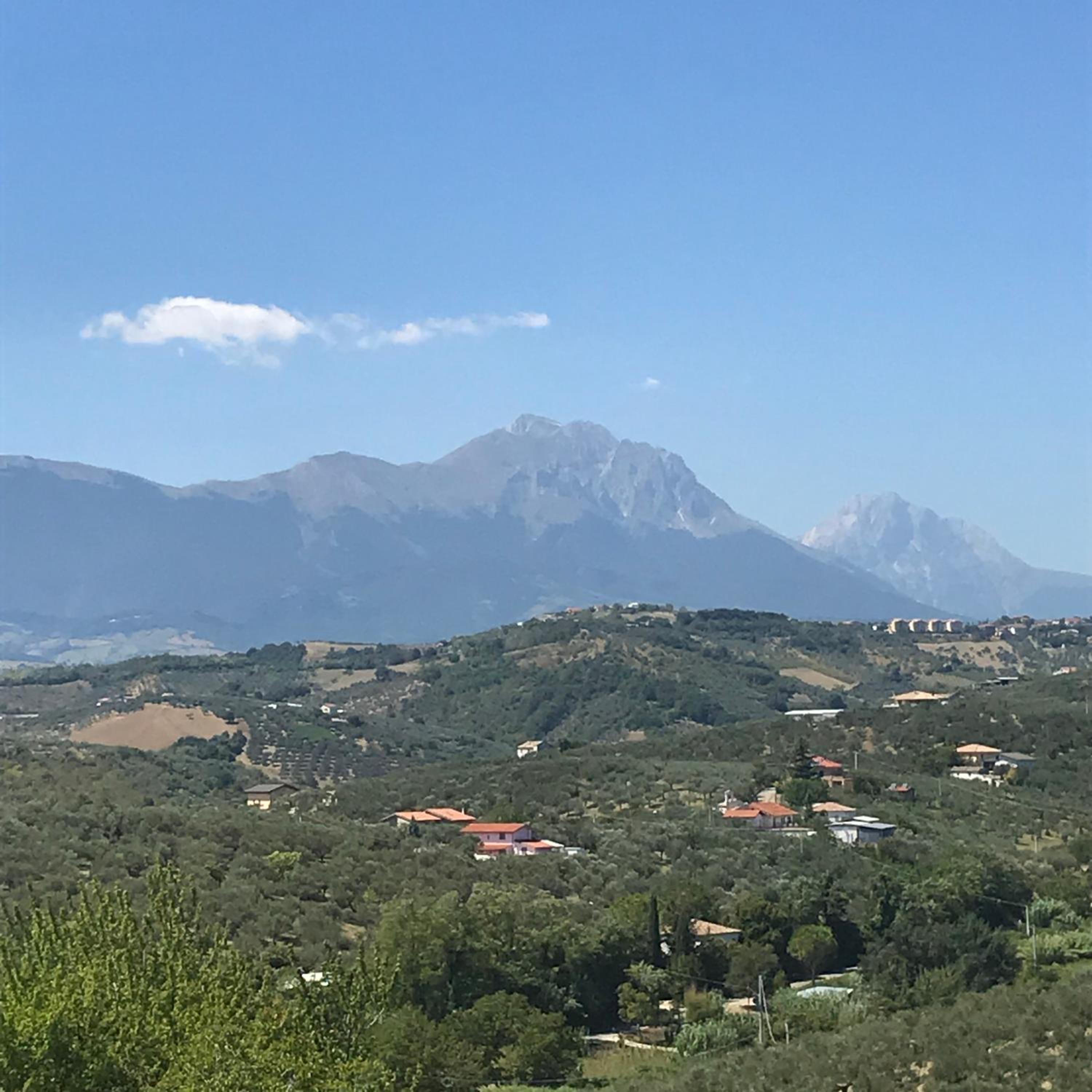 L'Oleandro view 4