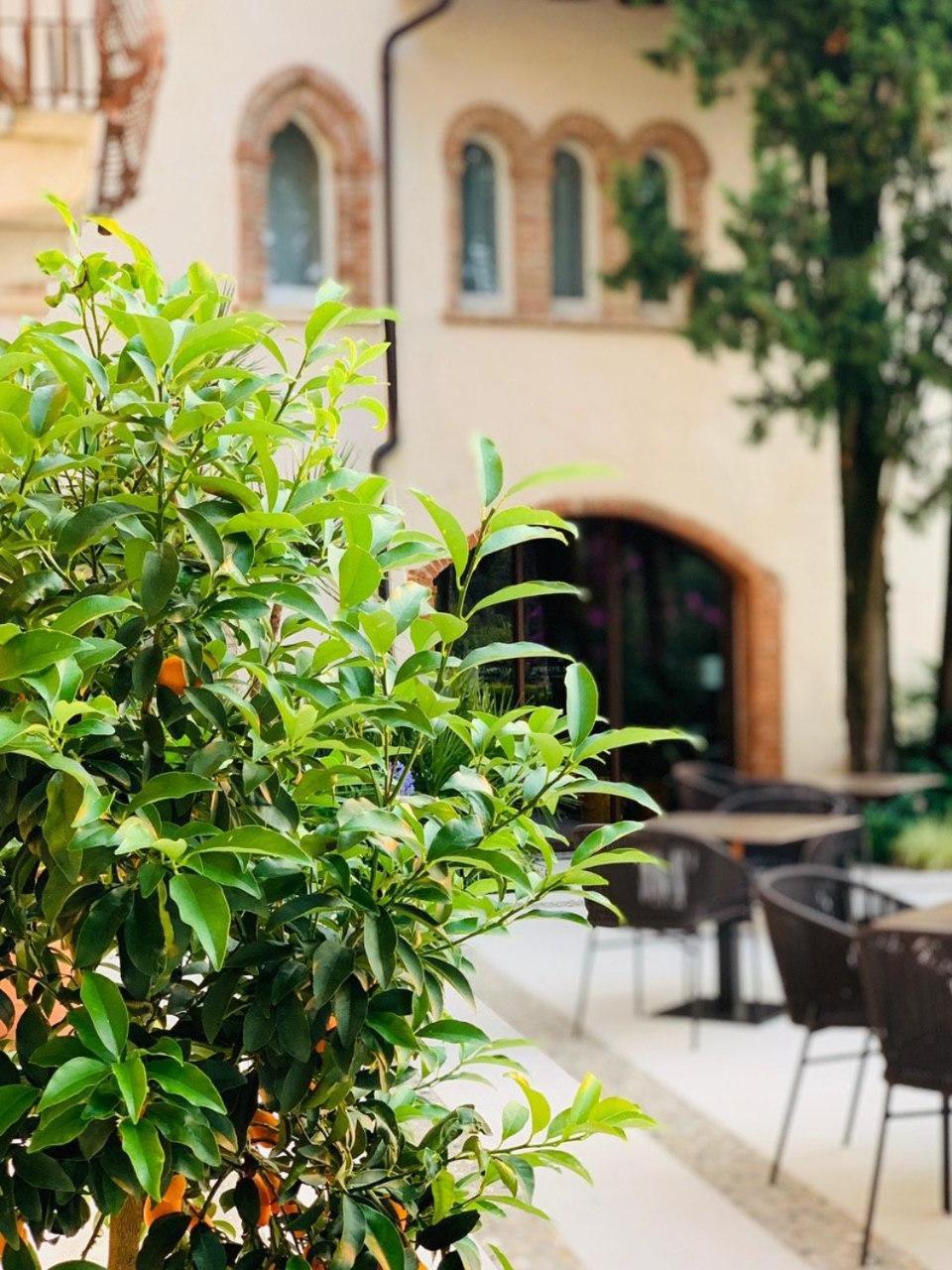 Borgo il Mezzanino, photo 34