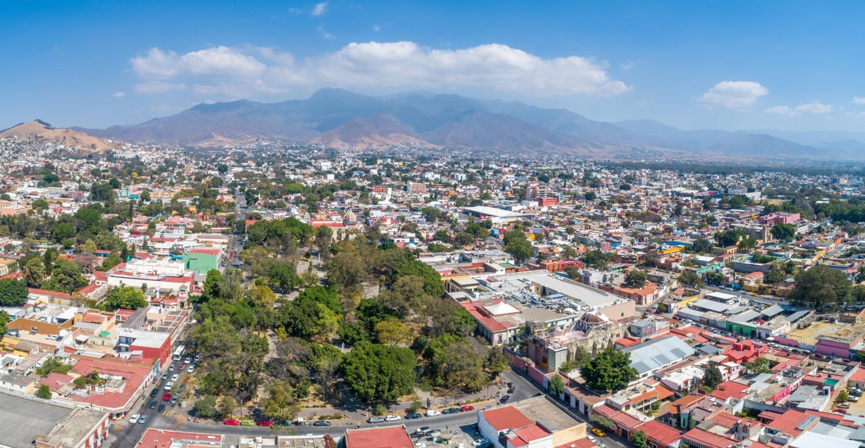 Grand Fiesta Americana Oaxaca - Property Image 4