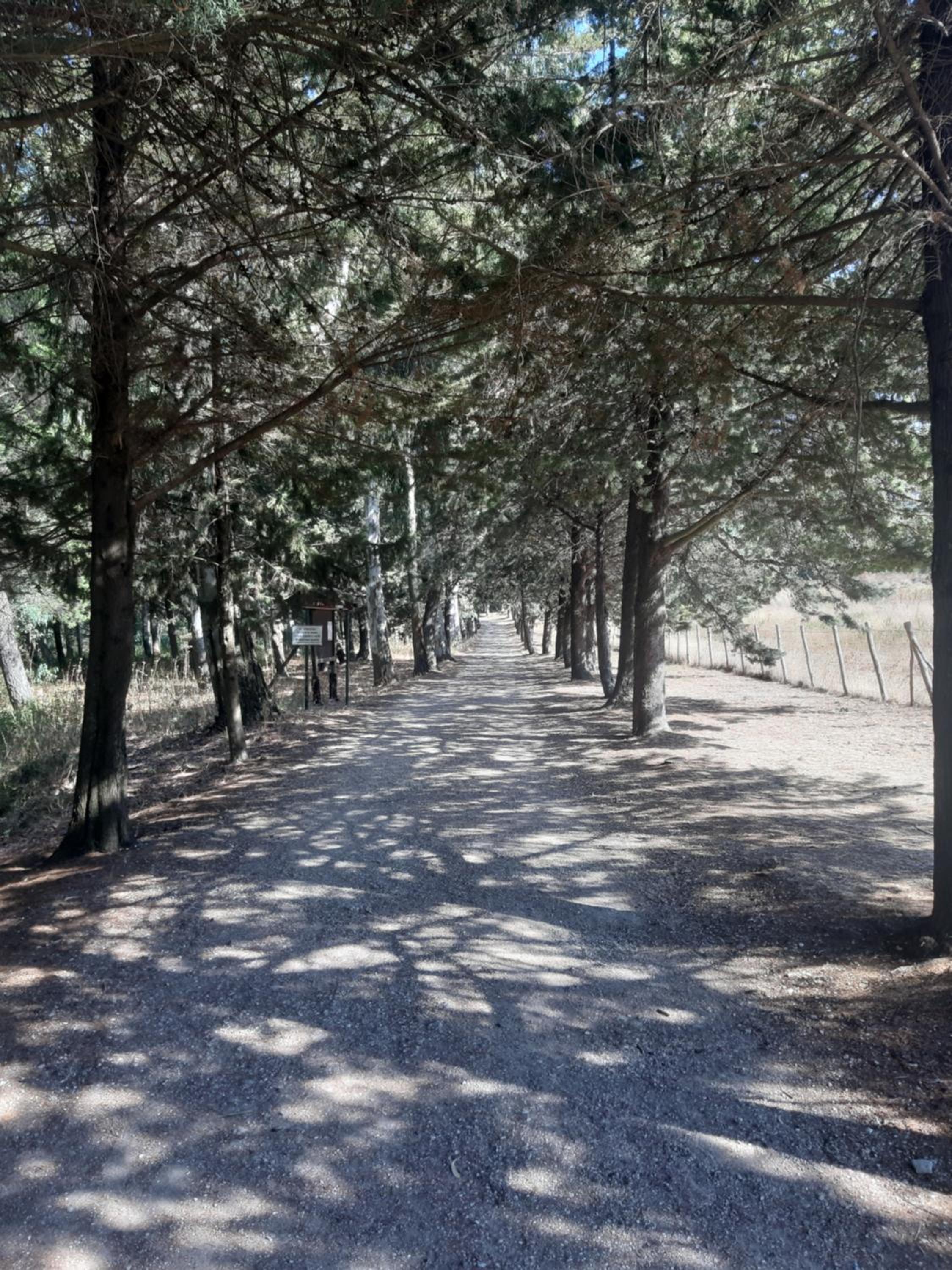 GUEST HOUSE PIANA DEGLI ALBANESI, photo 22