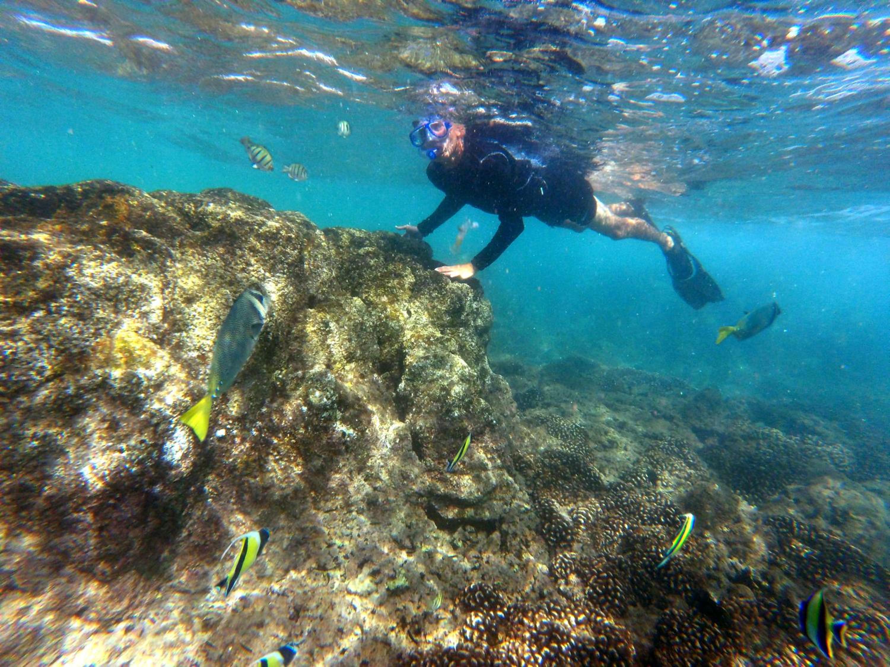 Los Cabos Vacations - Grand Fiesta Americana Los Cabos All Inclusive Golf  Spa - Property Image 19