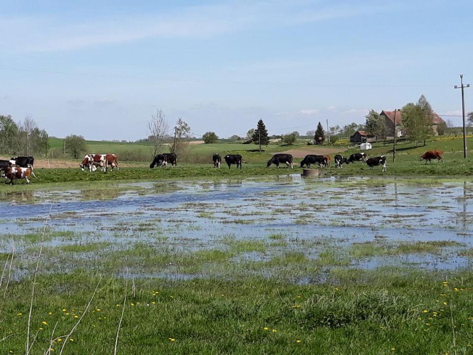 Miejsce Mocy Mazury view 2