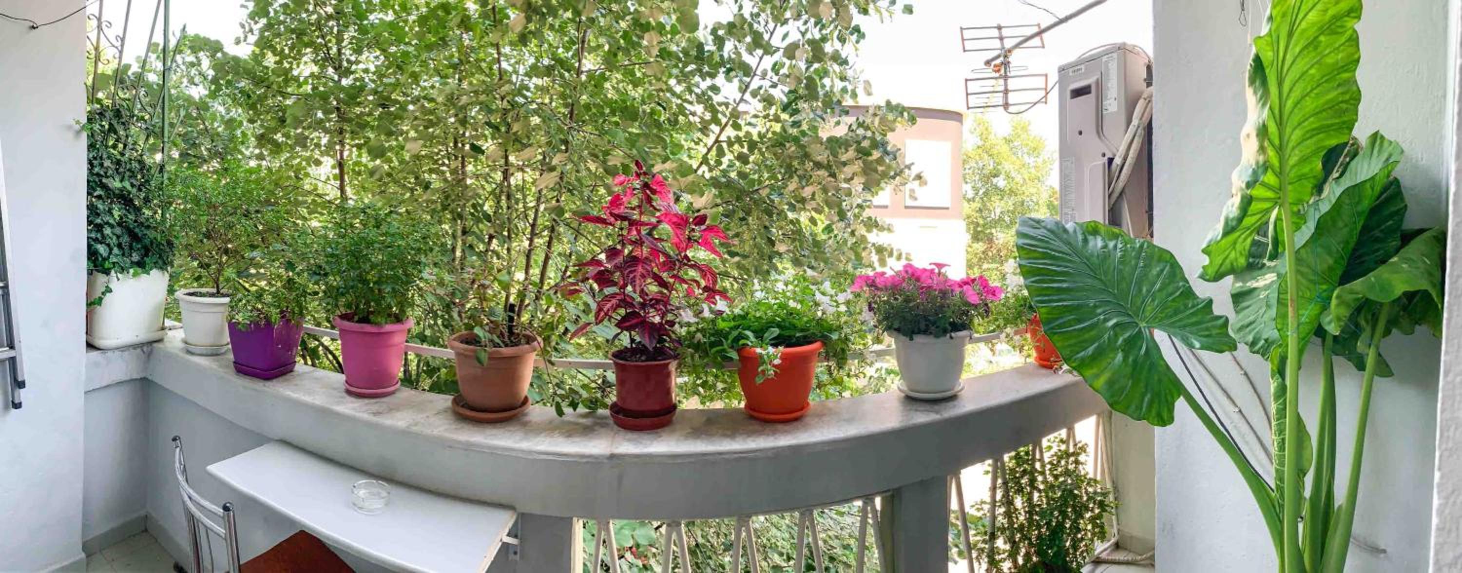 Korca Central Flat