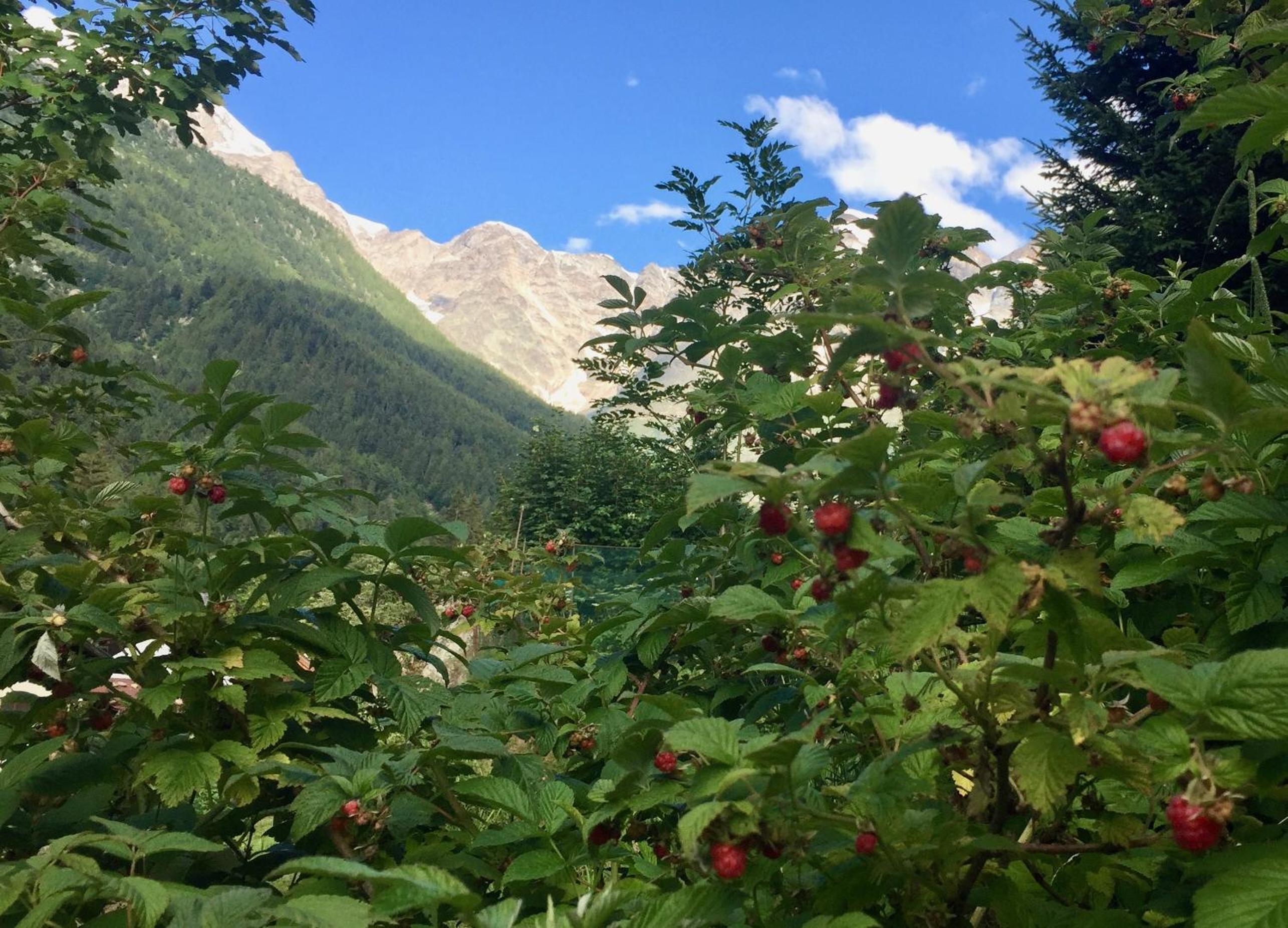 Appartamento Casa Weisstor con patio, giardino e orti vista Monte Rosa view 4
