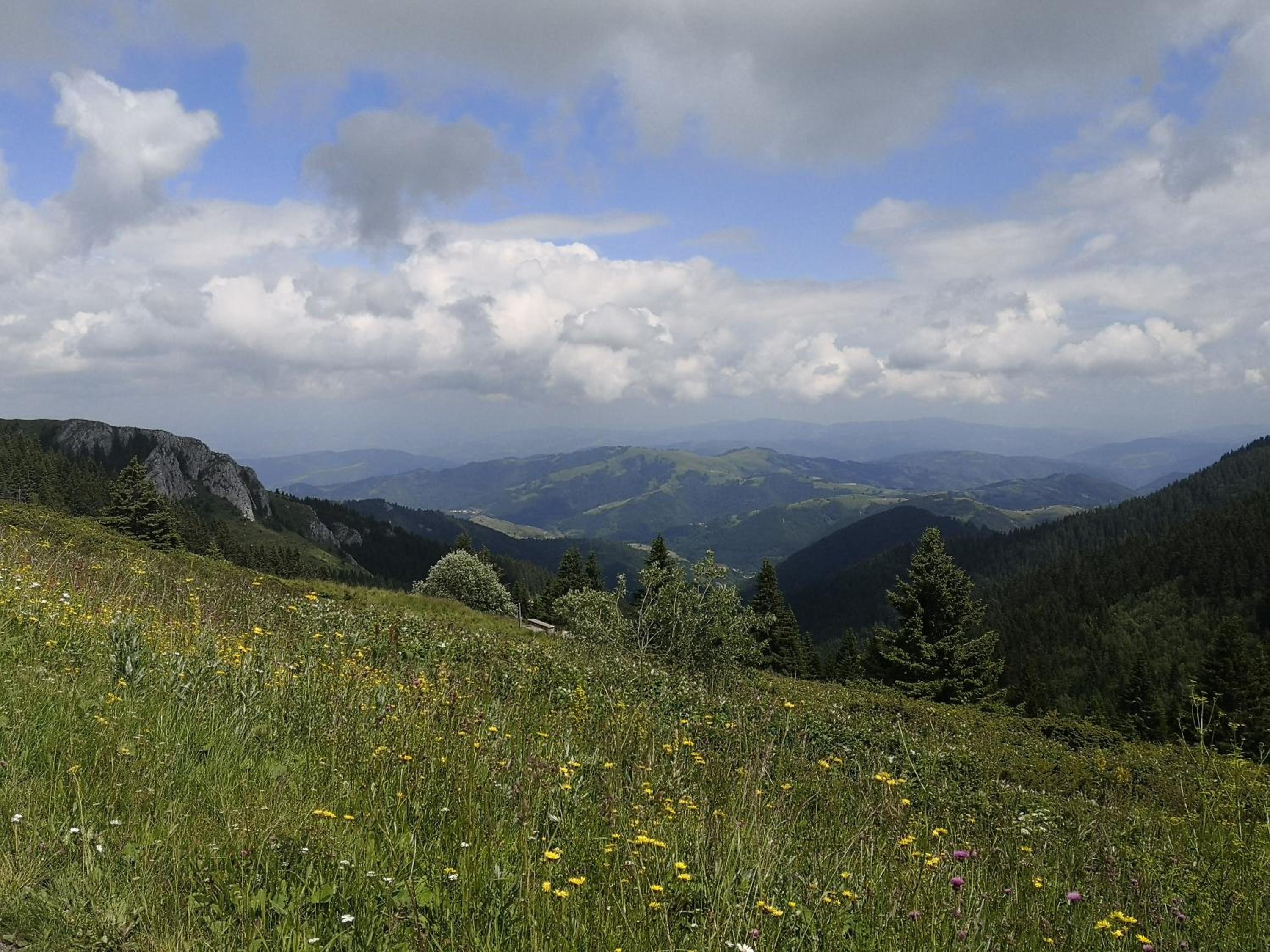 Photo 44