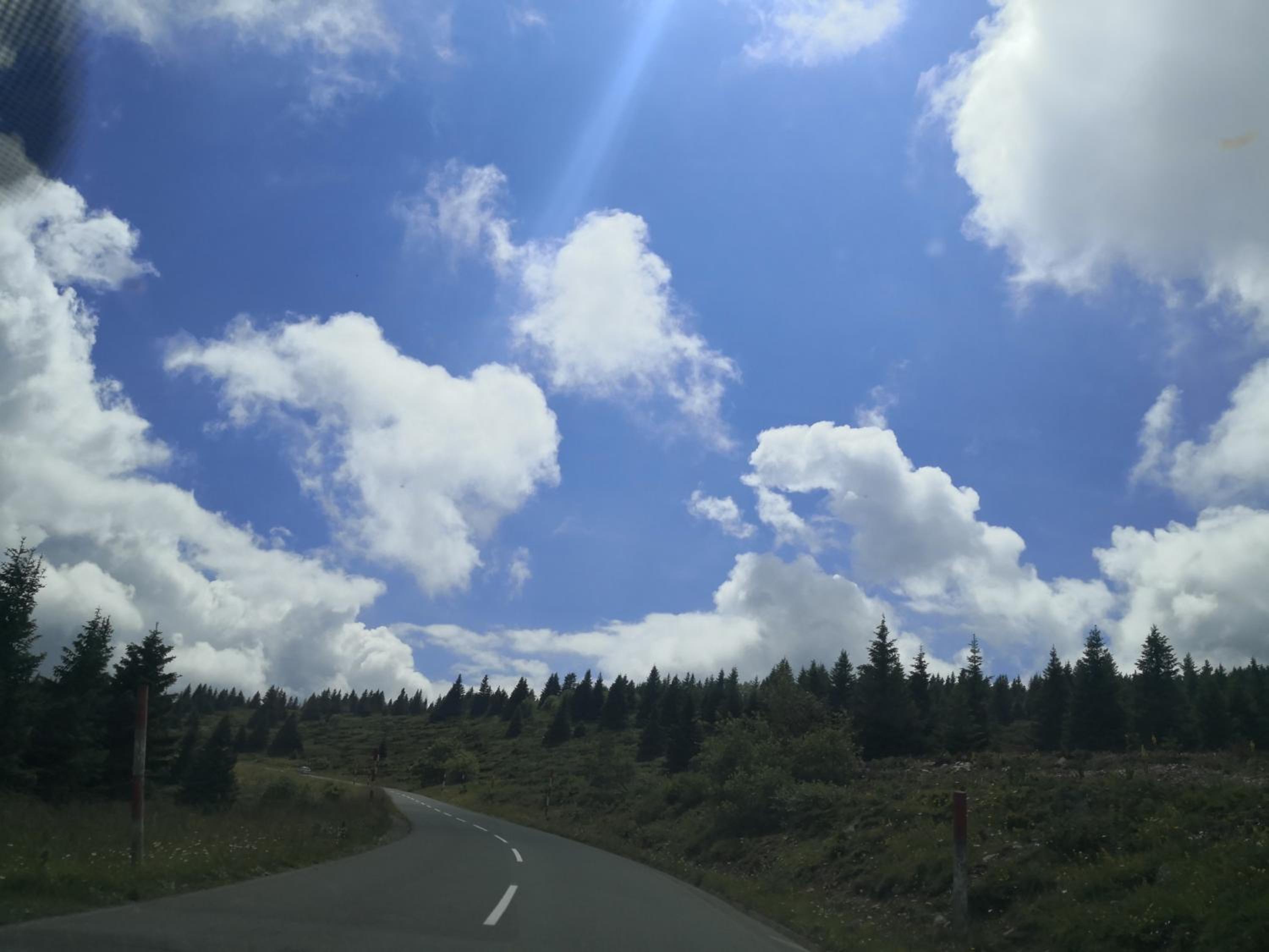 Photo 43
