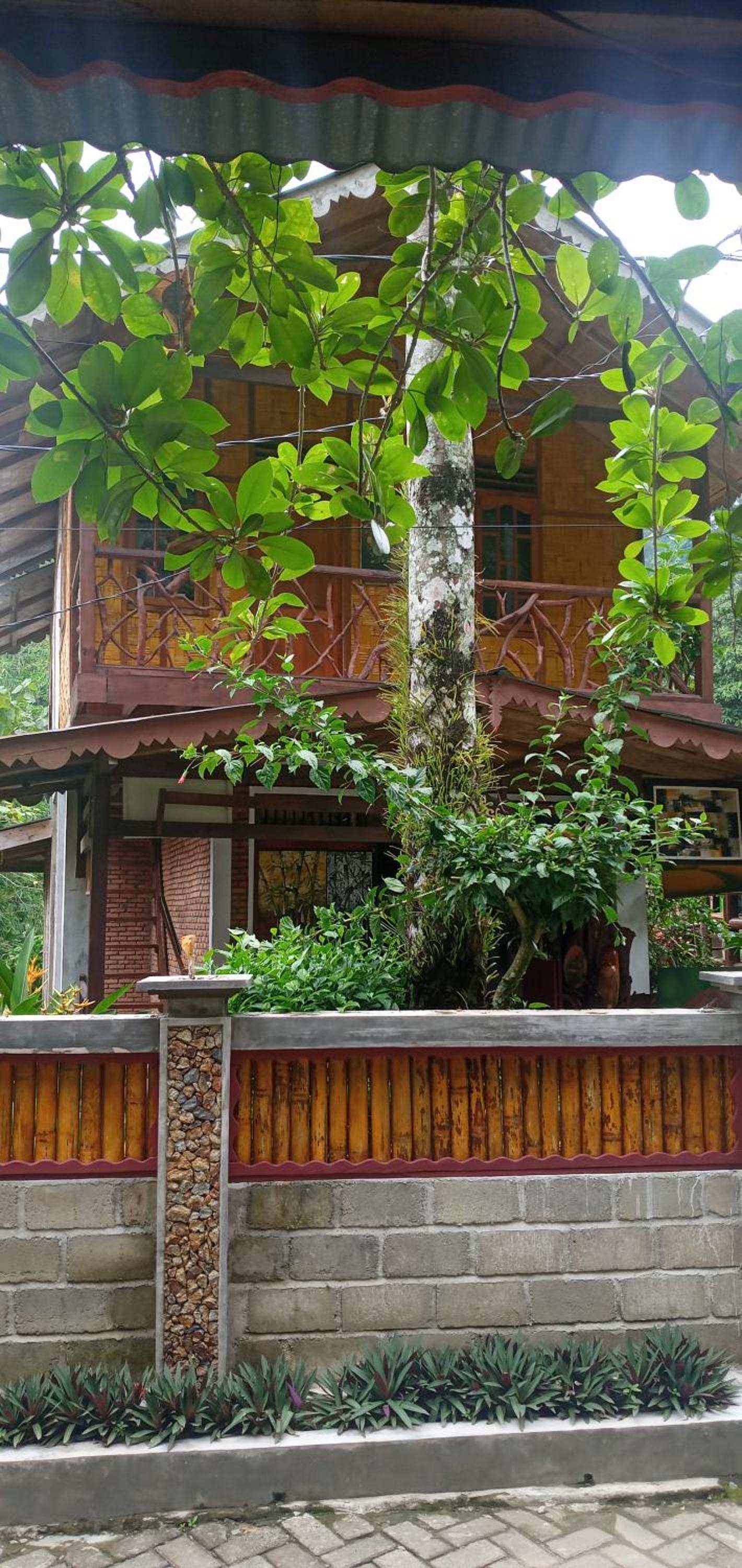 Eriono guest house Bukit lawang view 3