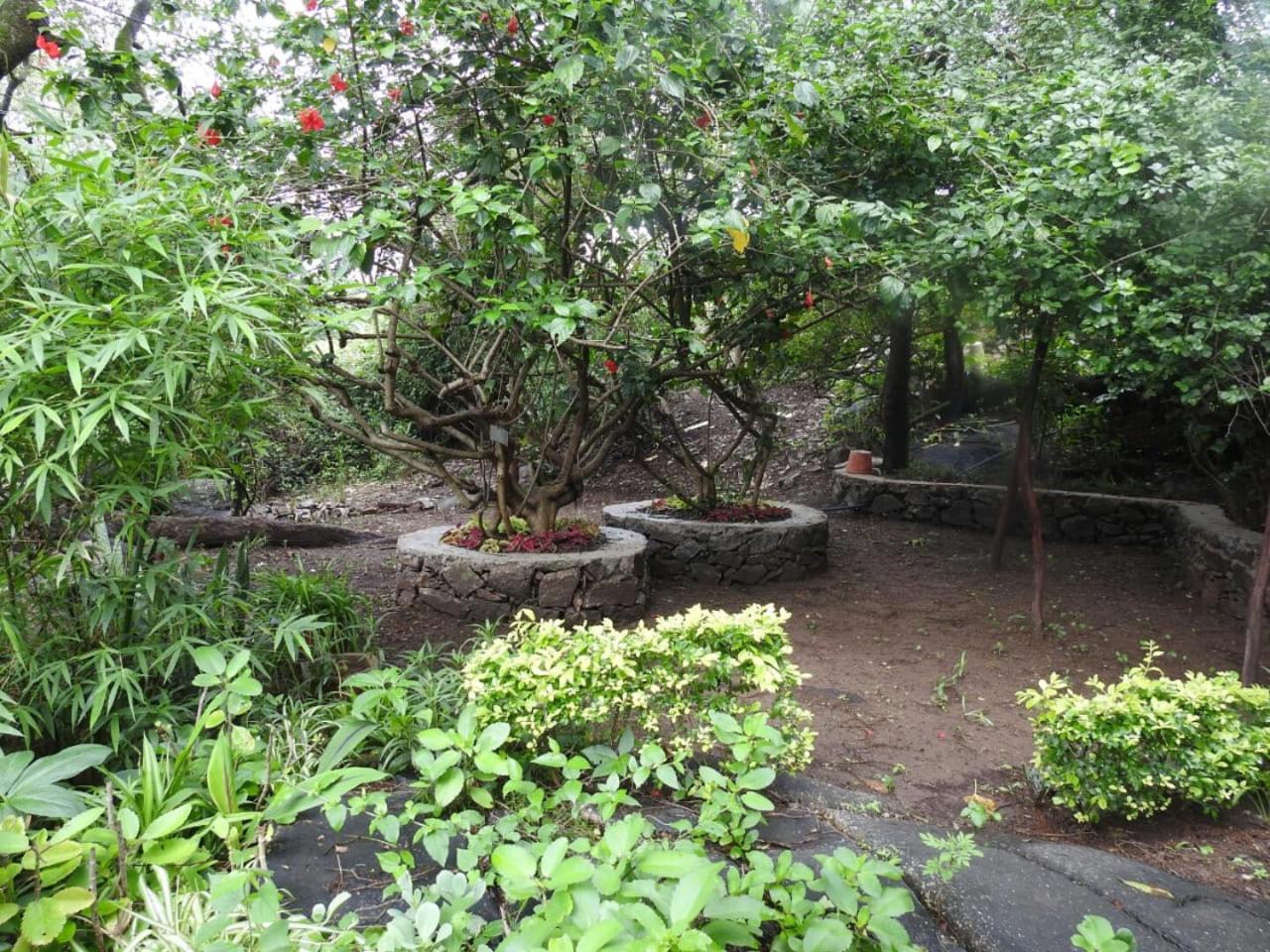 Photo 11