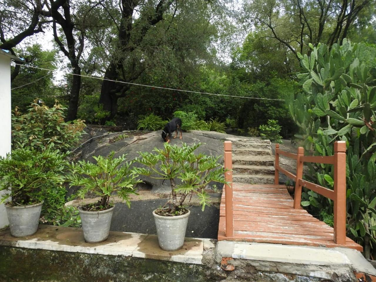 Golden oriole cottage view 4