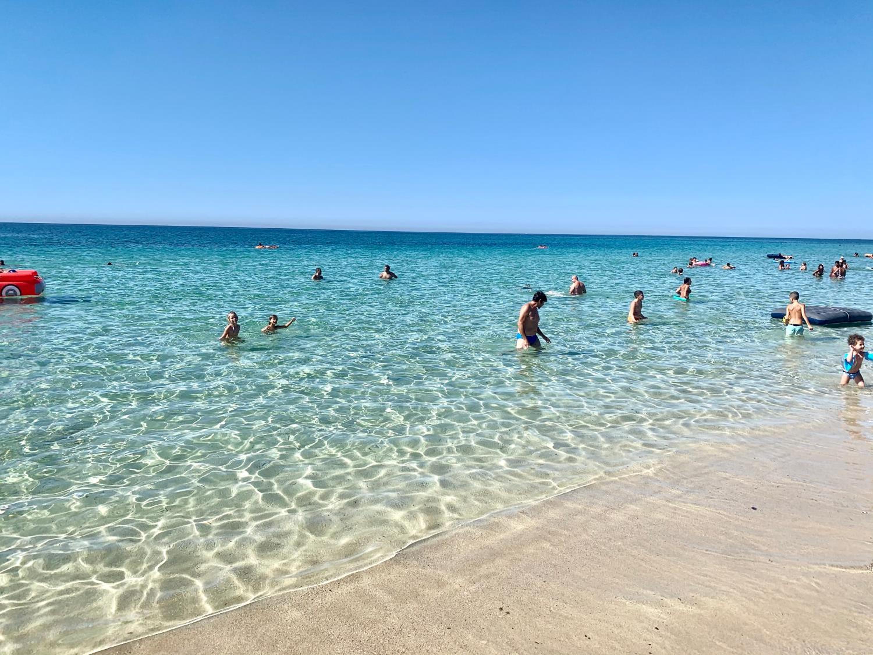 Il Fenicottero photo 5