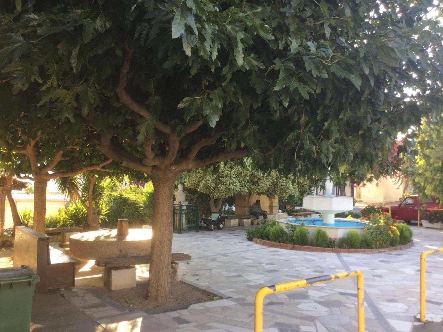 Photo 21