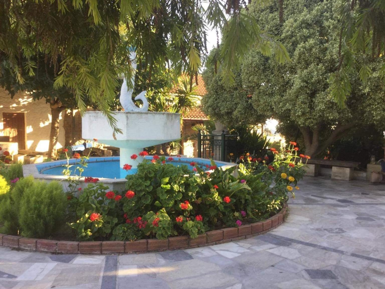 Photo 19