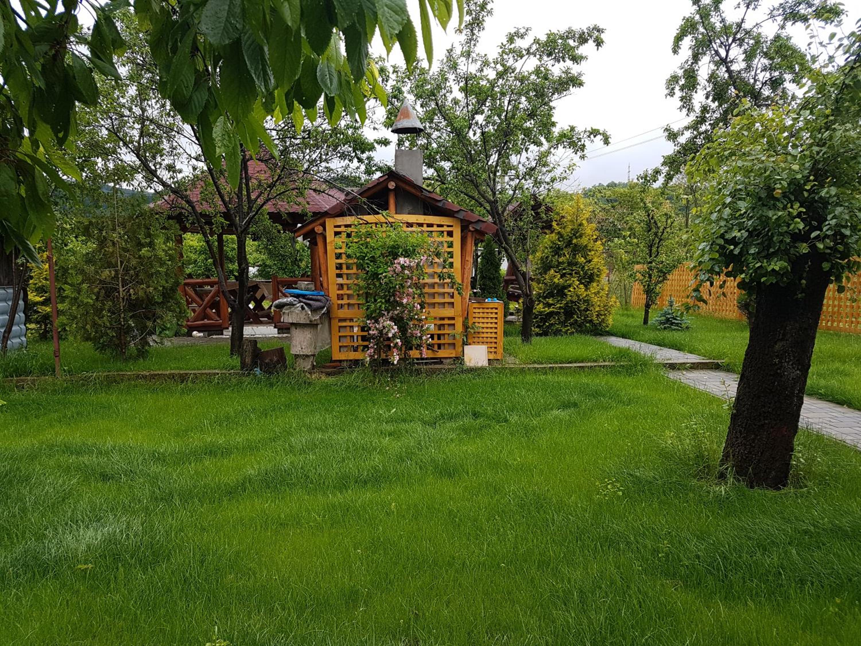 Photo 40