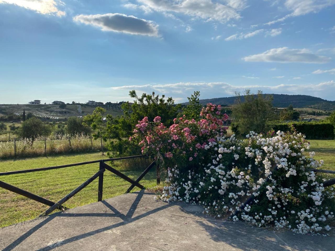 La villa di Alice view 5