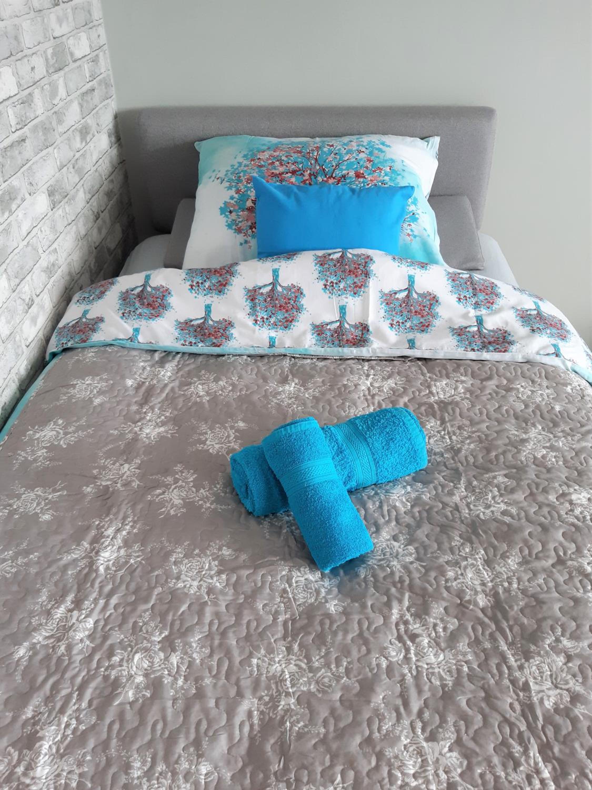 Apartamencik w centrum view 2