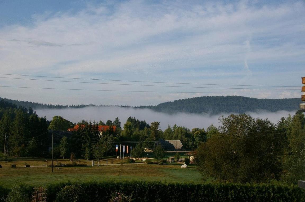 Pension Wiesengrund - Property Image 24
