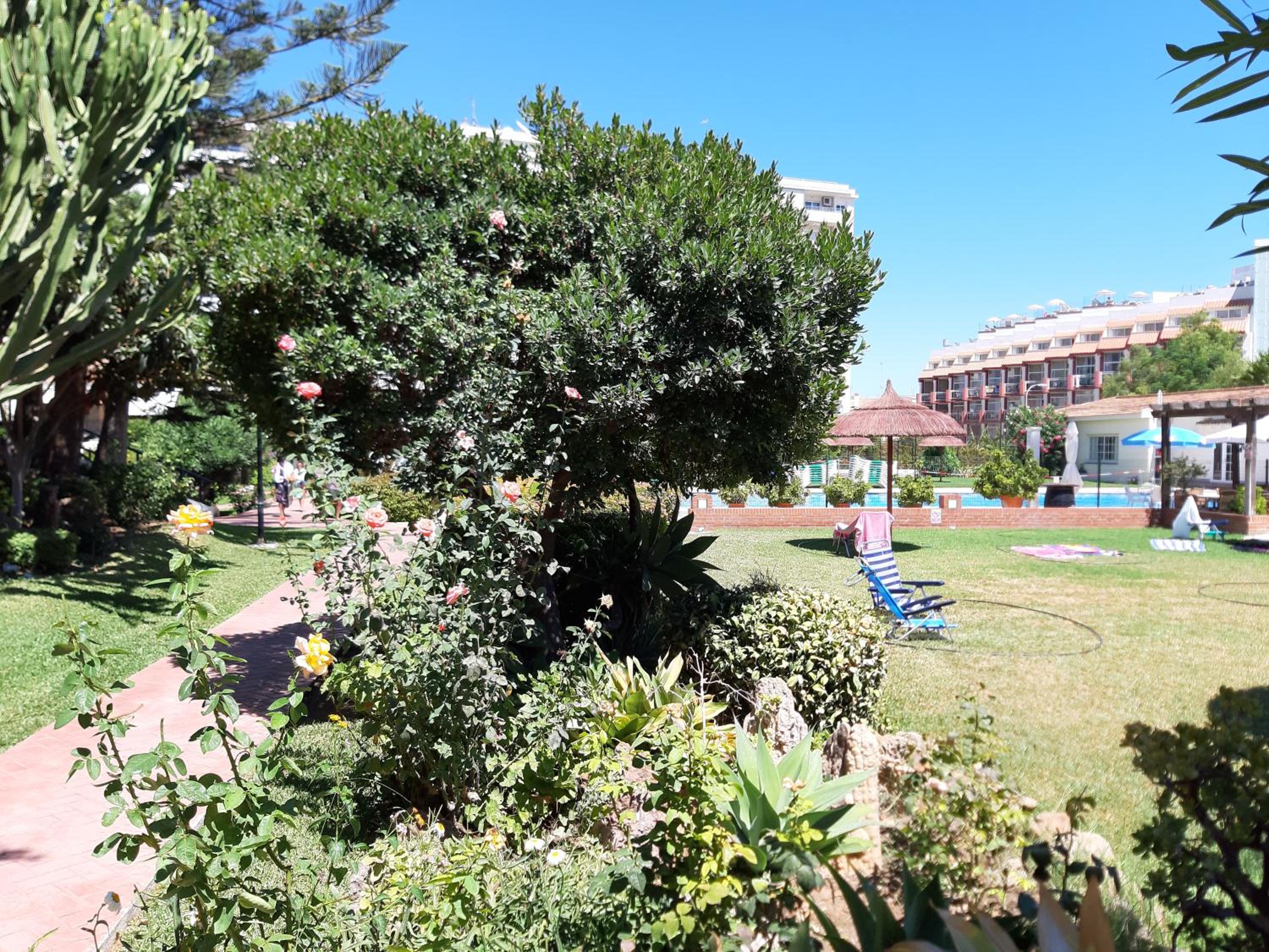 Carihuela Palace photo 4