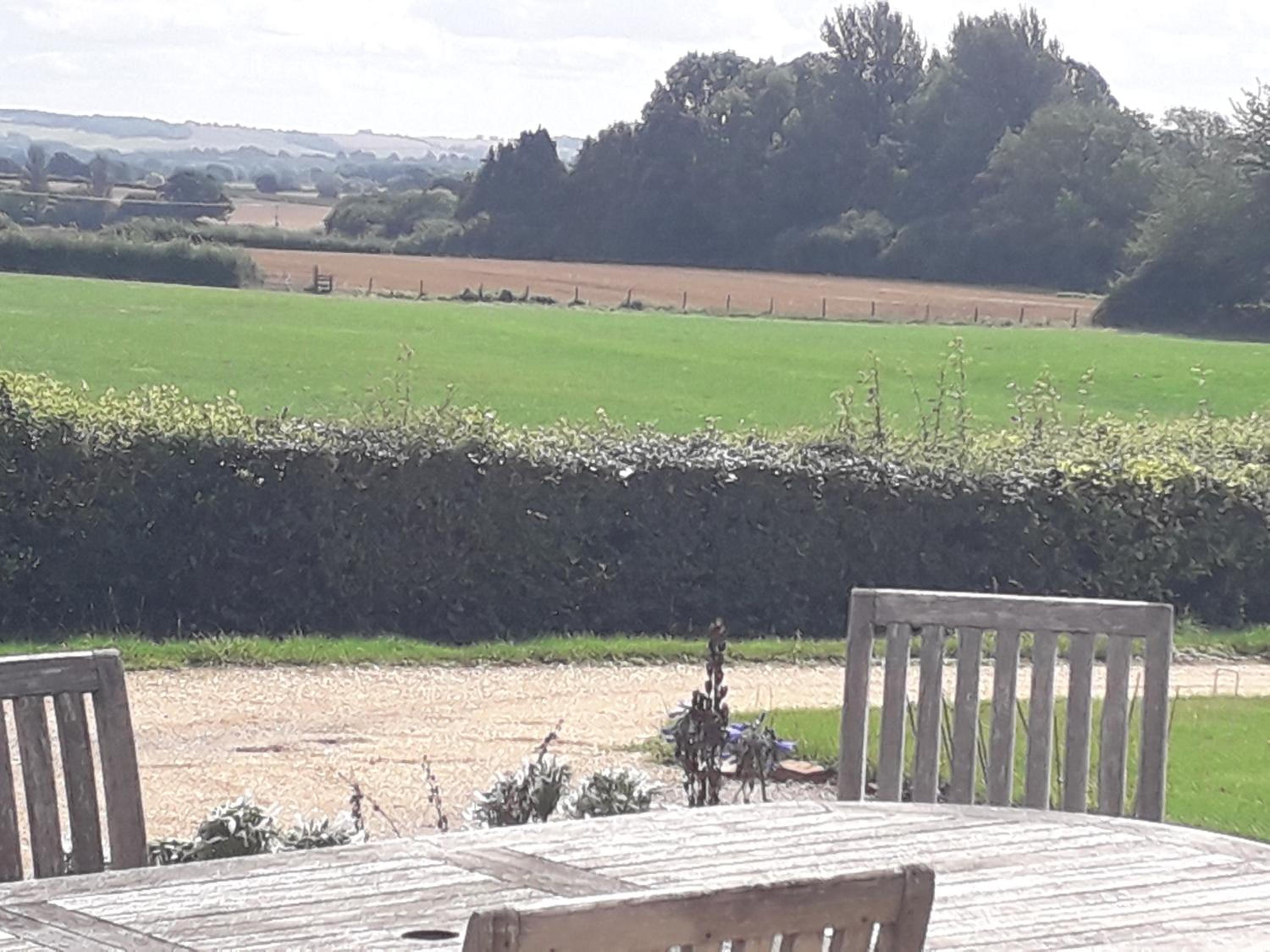 other