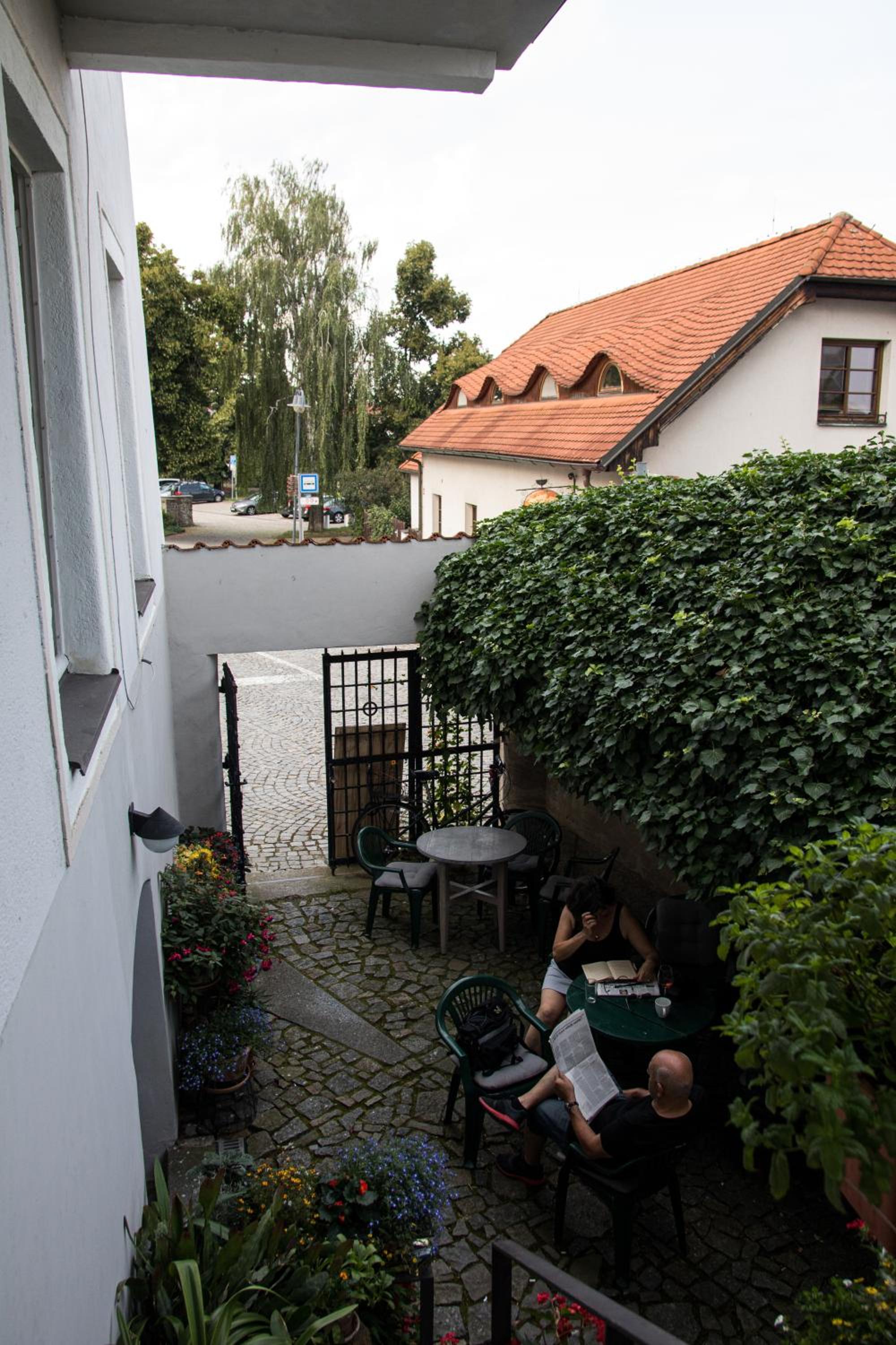 U Černého kocoura a zeleného stromu view 2