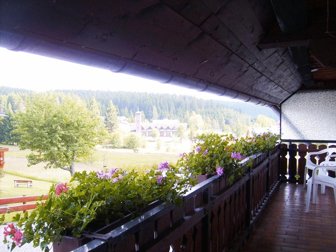 Pension Wiesengrund - Property Image 12