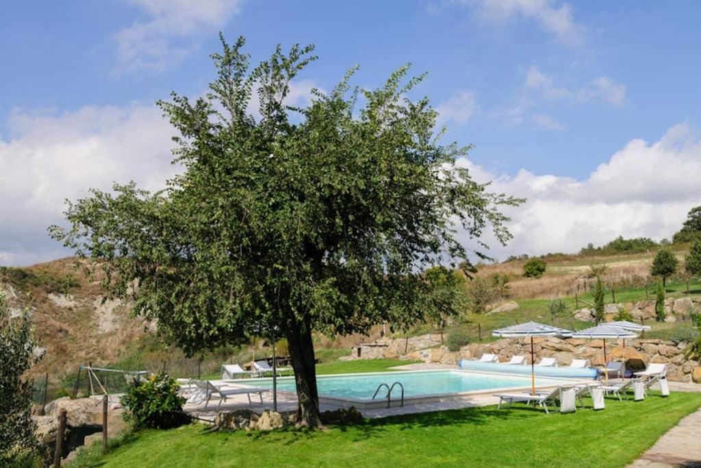 Girasole Cottage overlooking the Orcia valley in Tuscany view 5