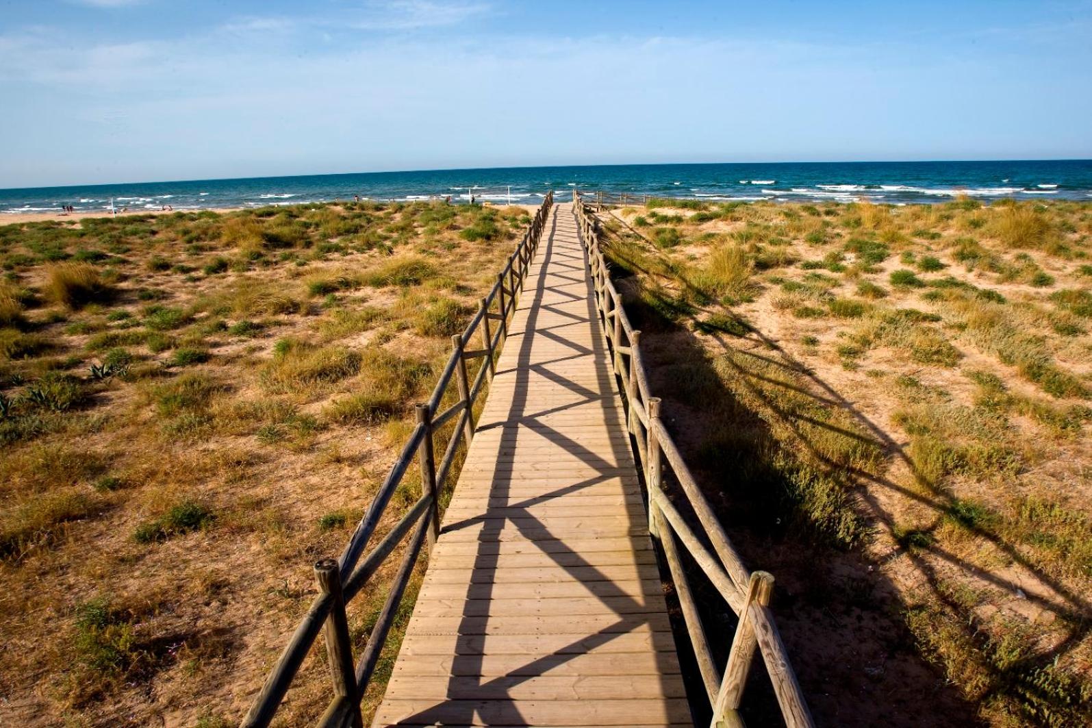 CAPRI GANDIA PRIMERA LÍNEA - Alquiler solo familias