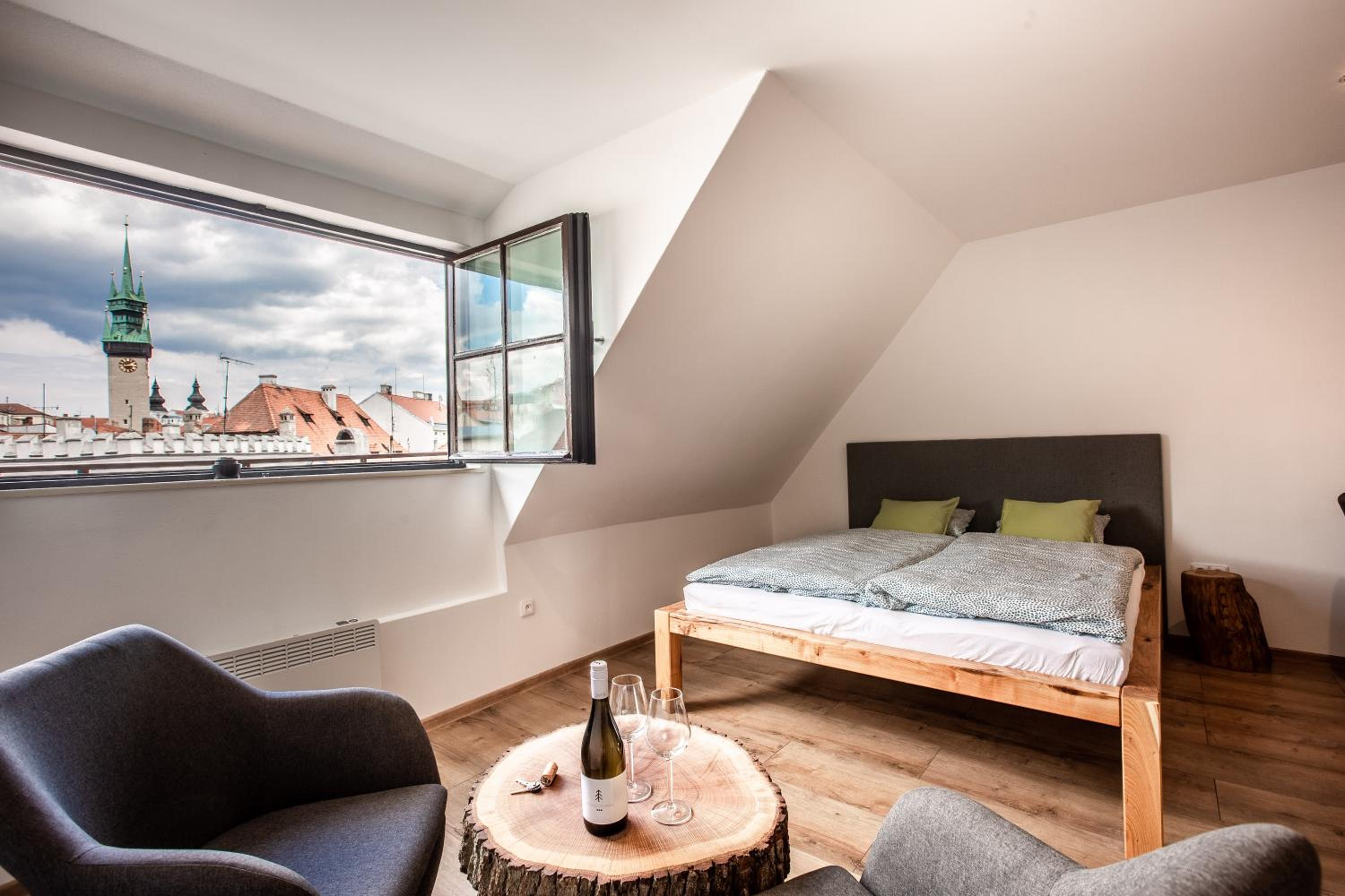 Apartmány na Mikulášském náměstí view 4