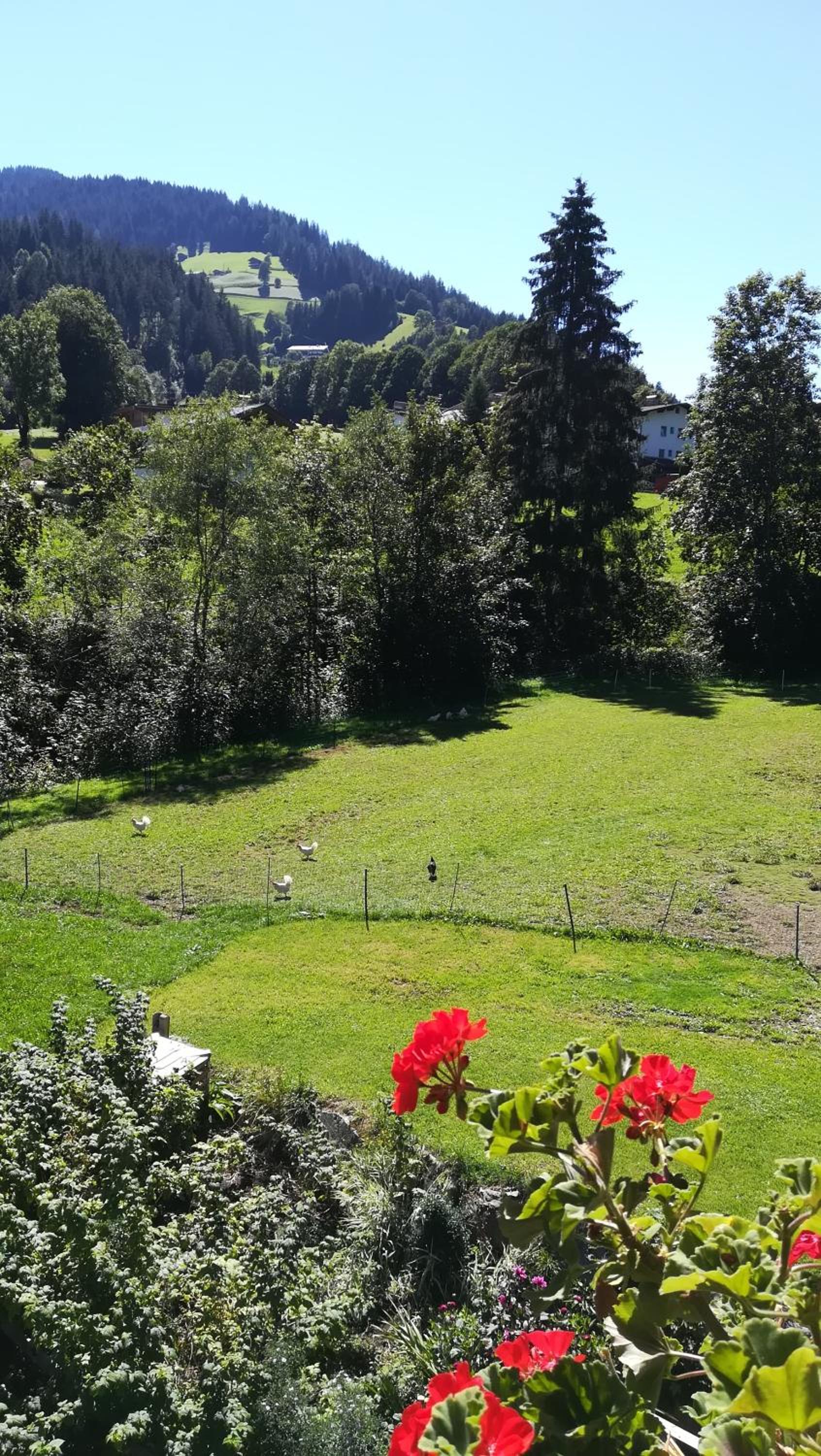 Appartement Maurer