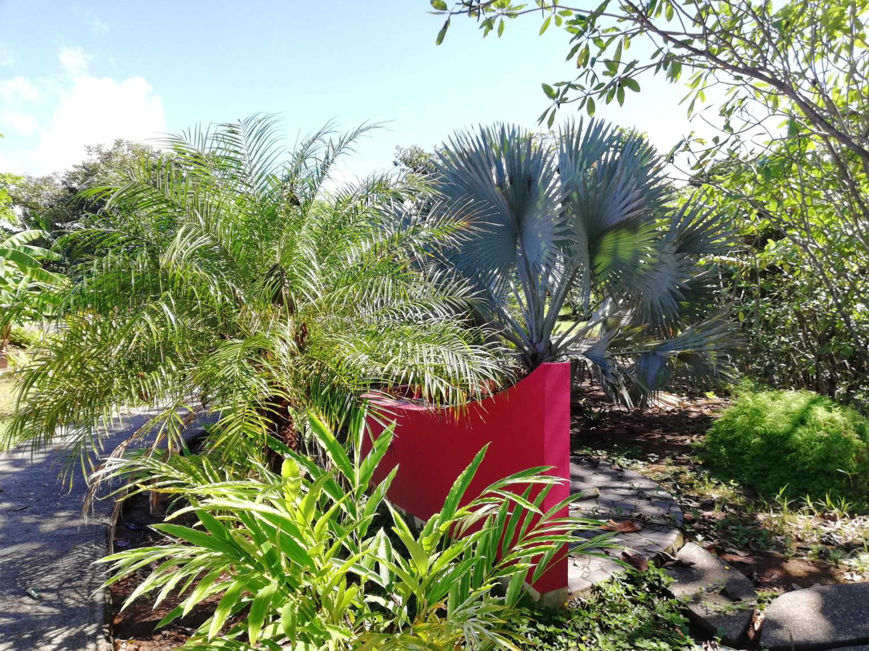 Photo 43