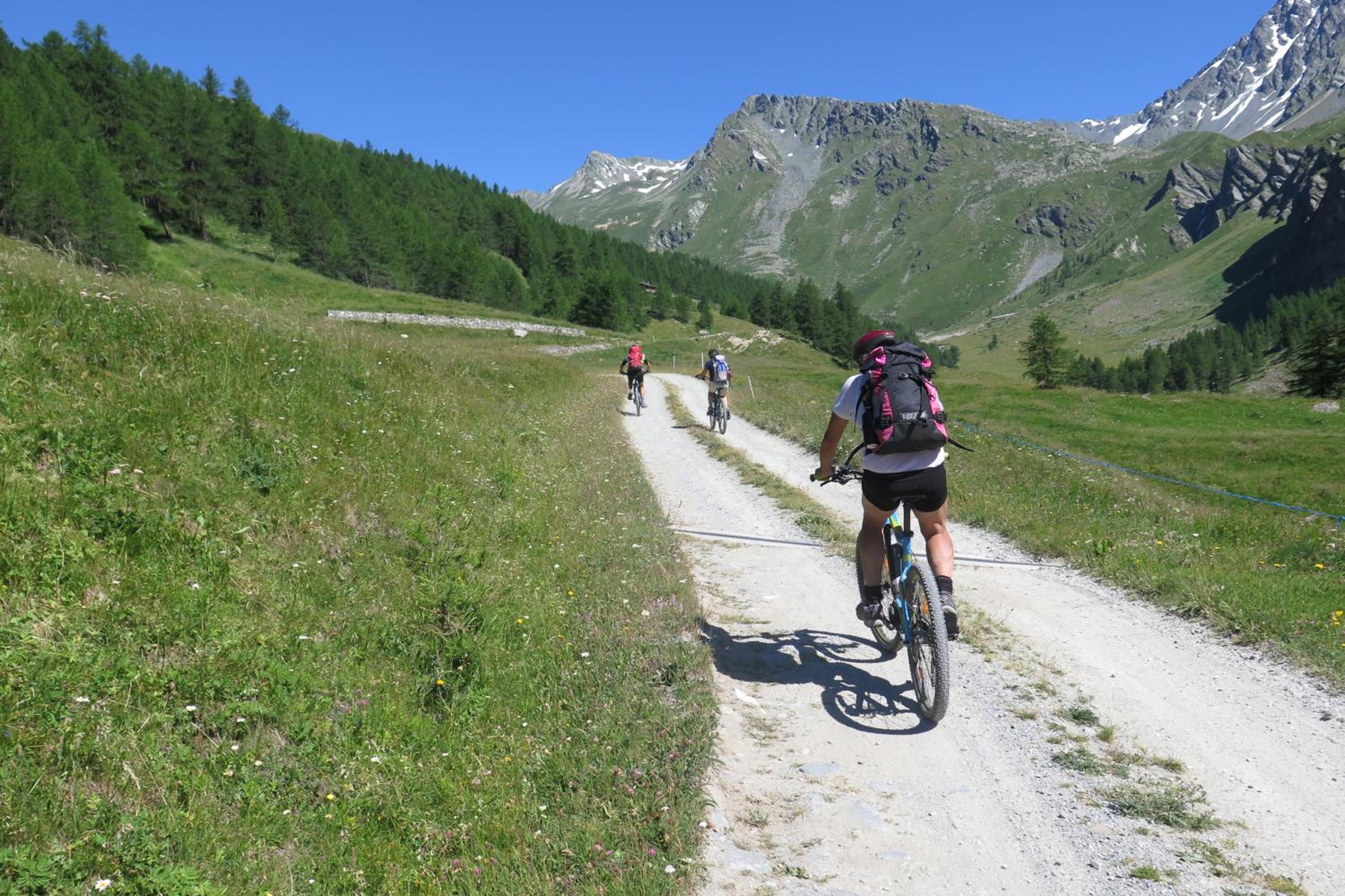 Le Rosier B&B e Appartamento