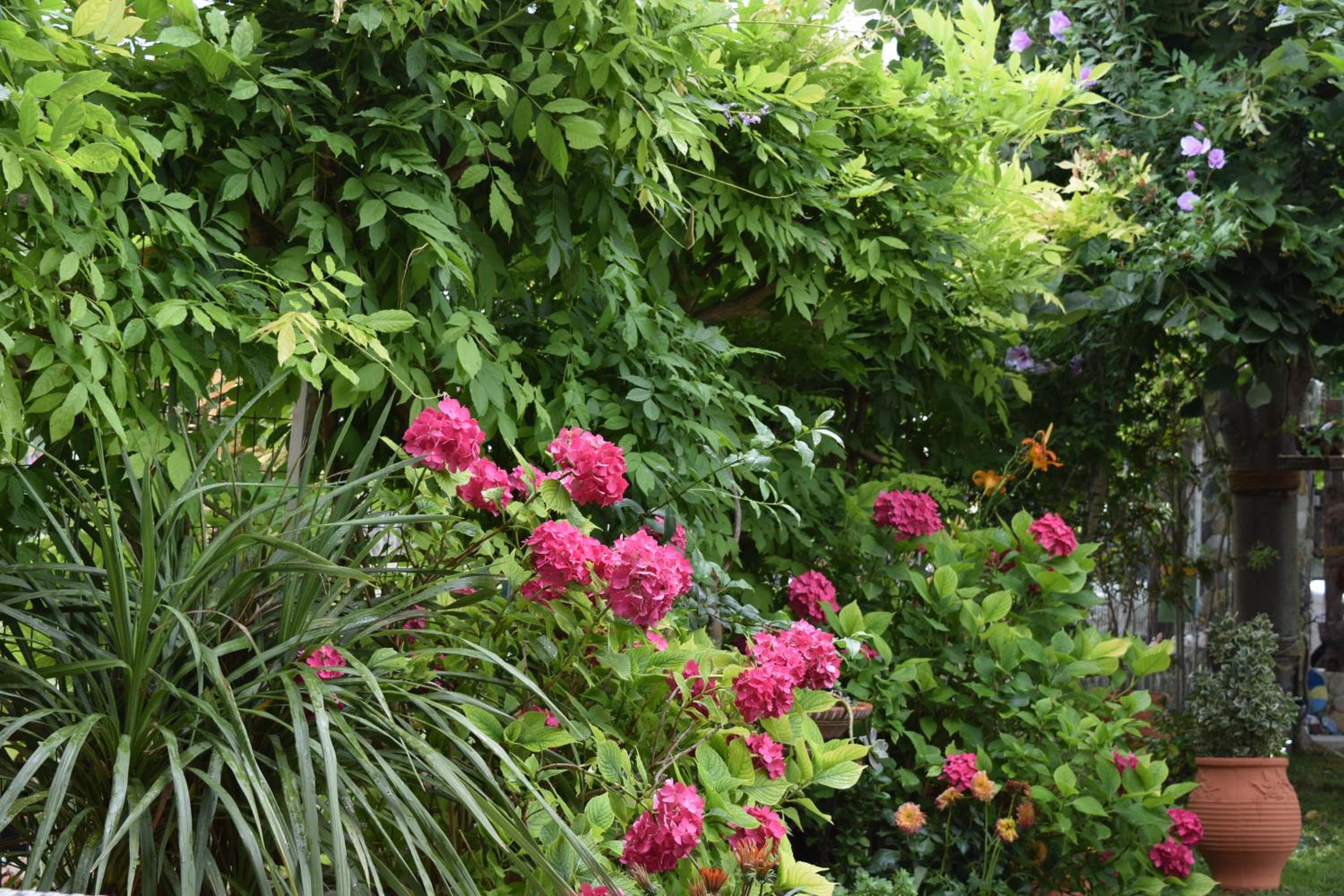 Garden's Villa view 3