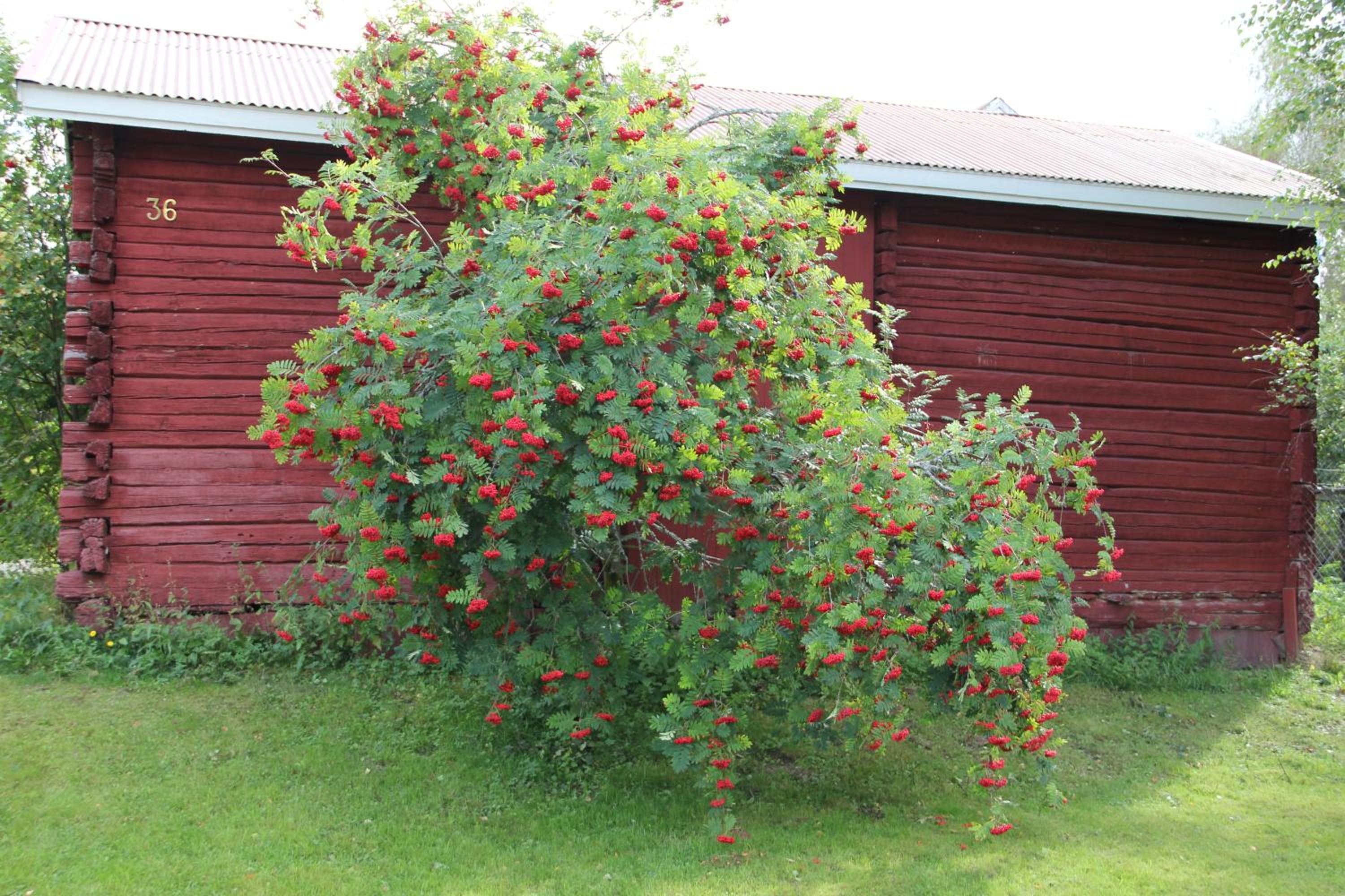 Photo 13