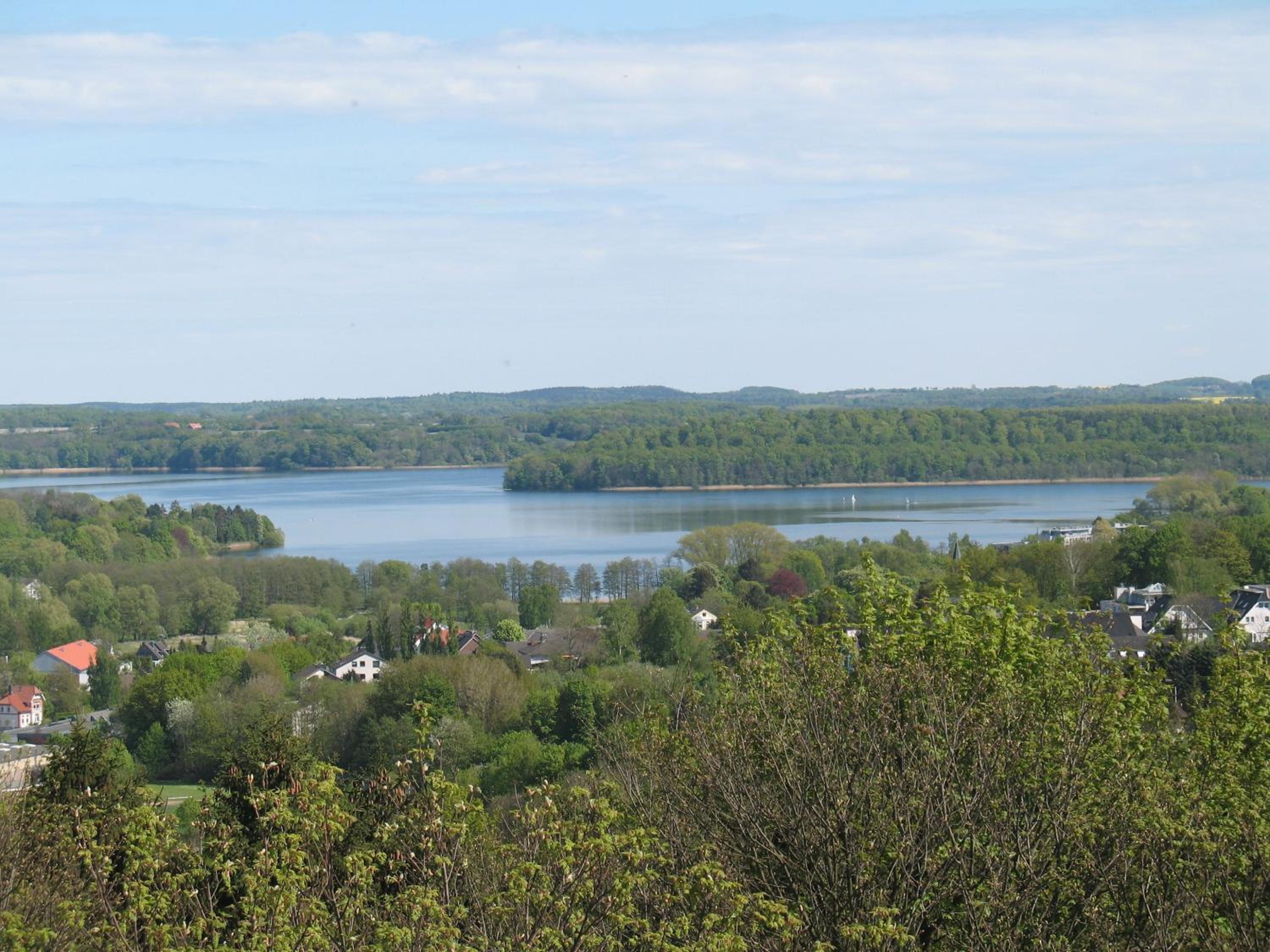 Photo 47