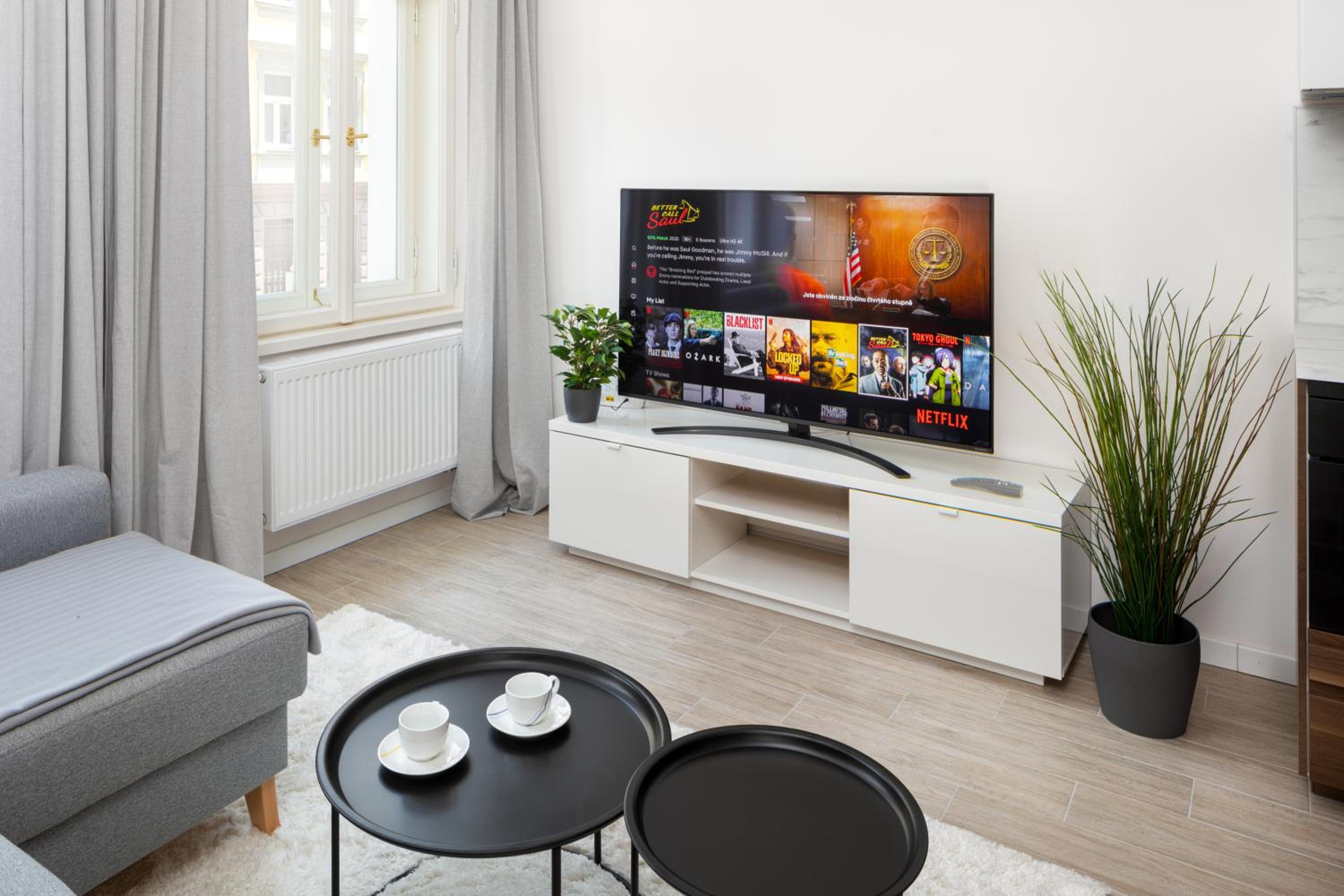 Stylish Flat in Nusle by Prague Days