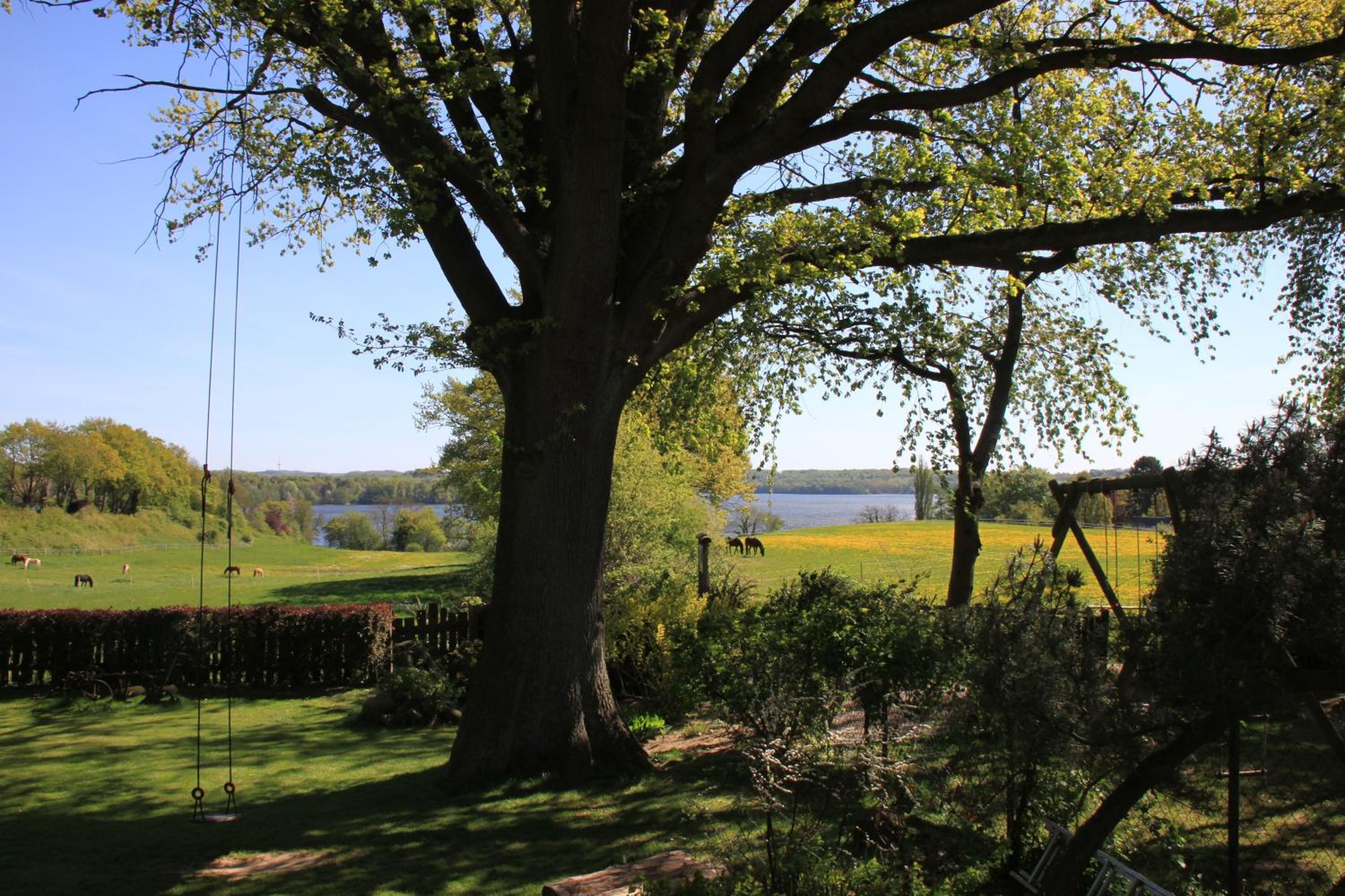 Photo 45