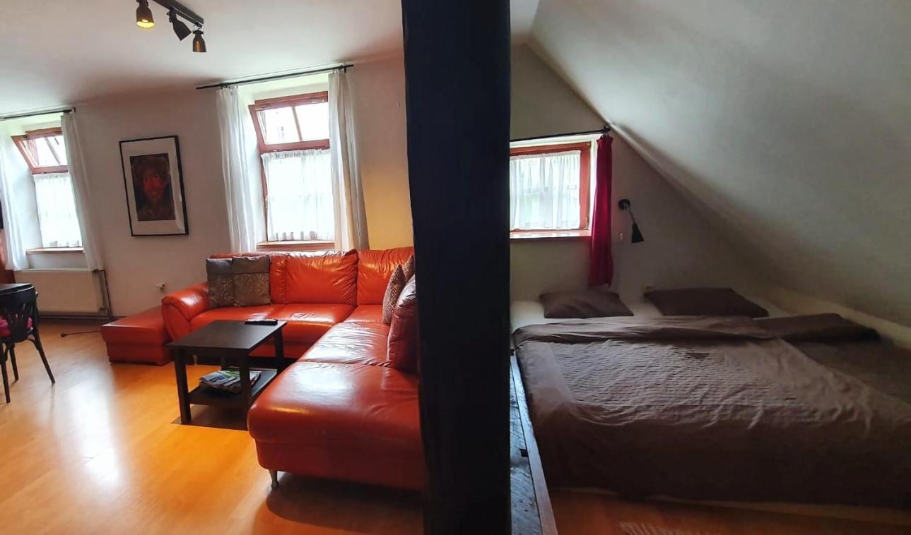 Apartmá v Rodném domě Vincenze Priessnitze v centru lázní view 3