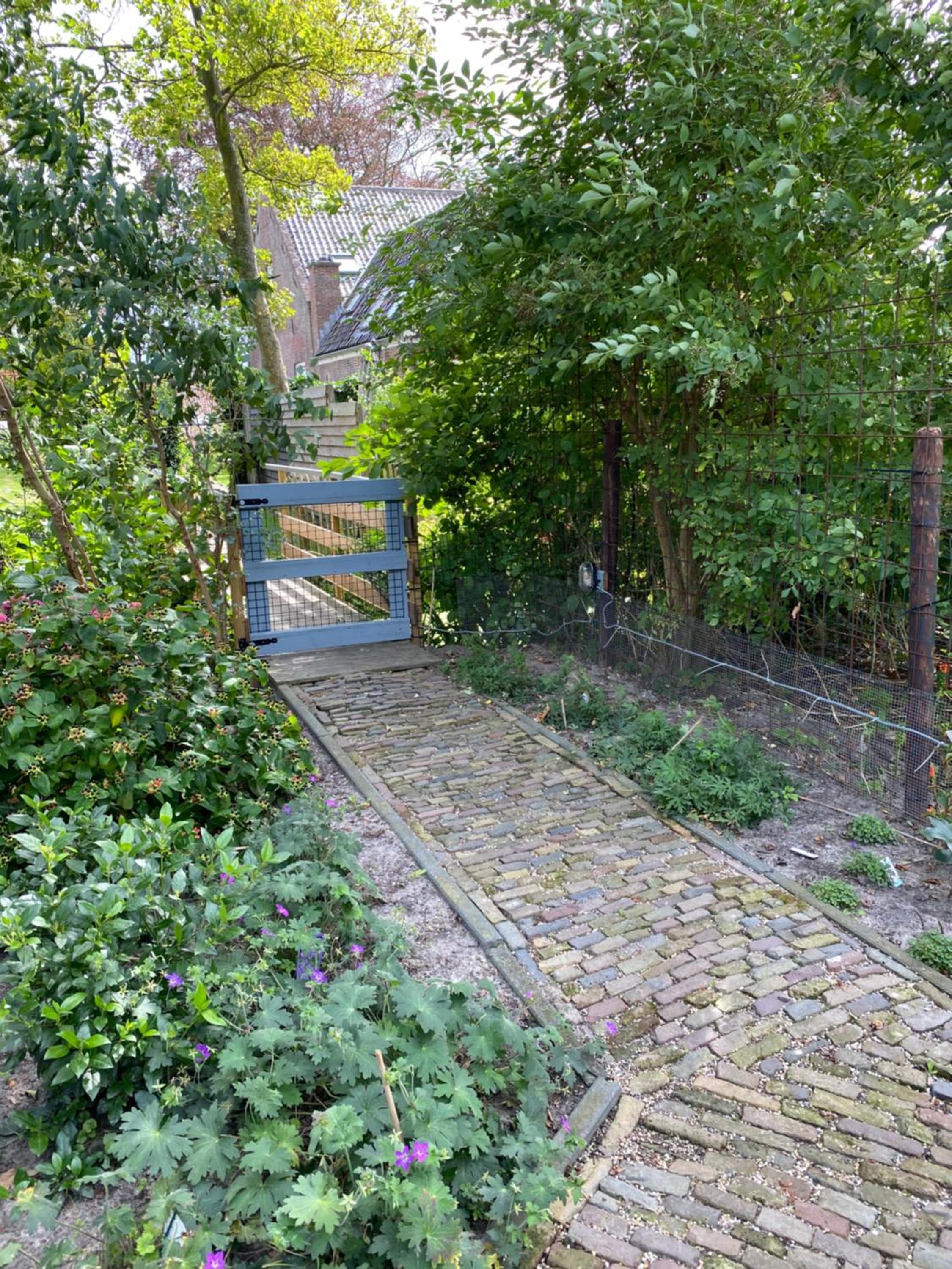 Vakantiewoning Vrijburg view 2