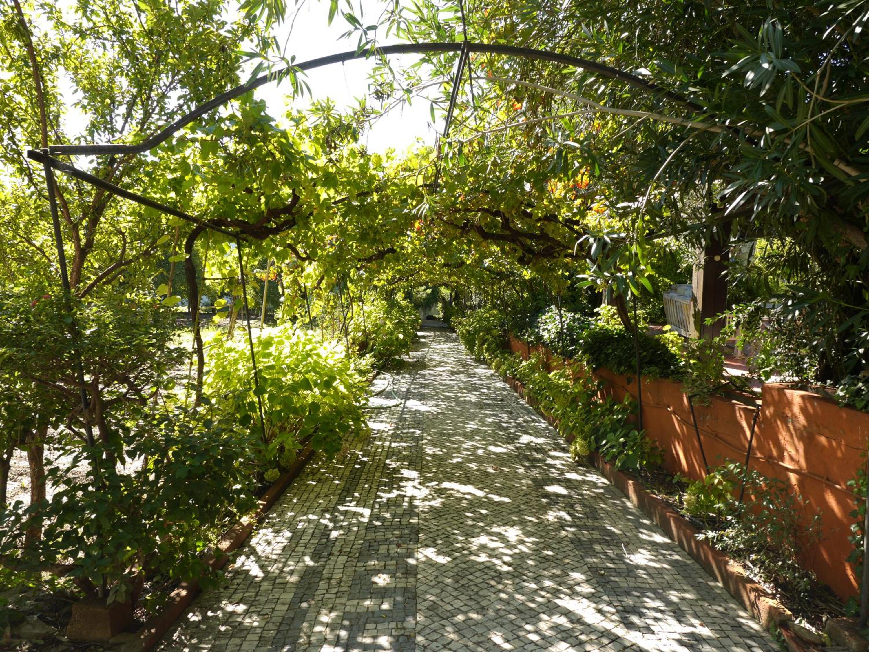 Casa Dos Arrabidos, photo 50