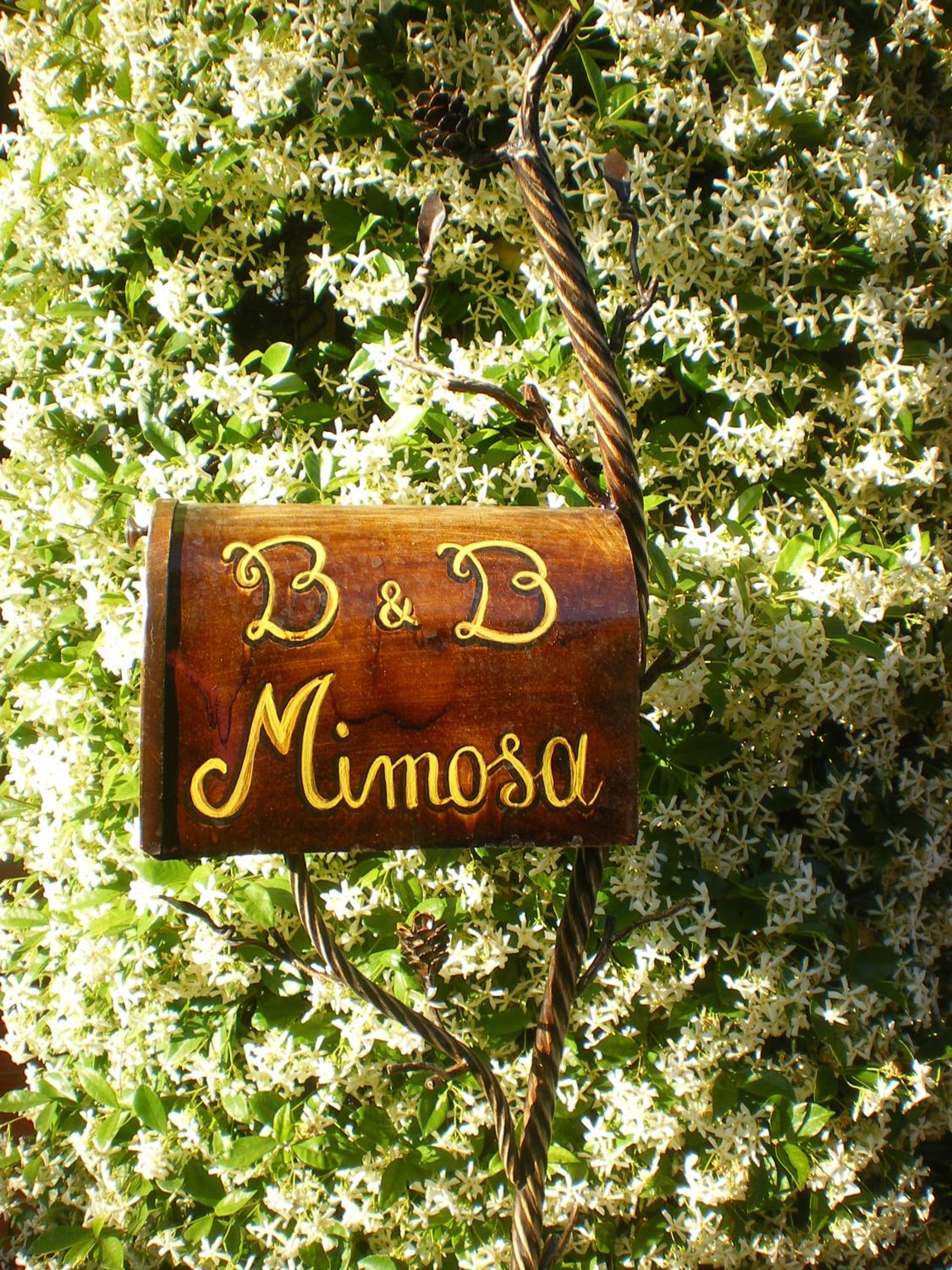 Bed and Breakfast Mimosa photo 2