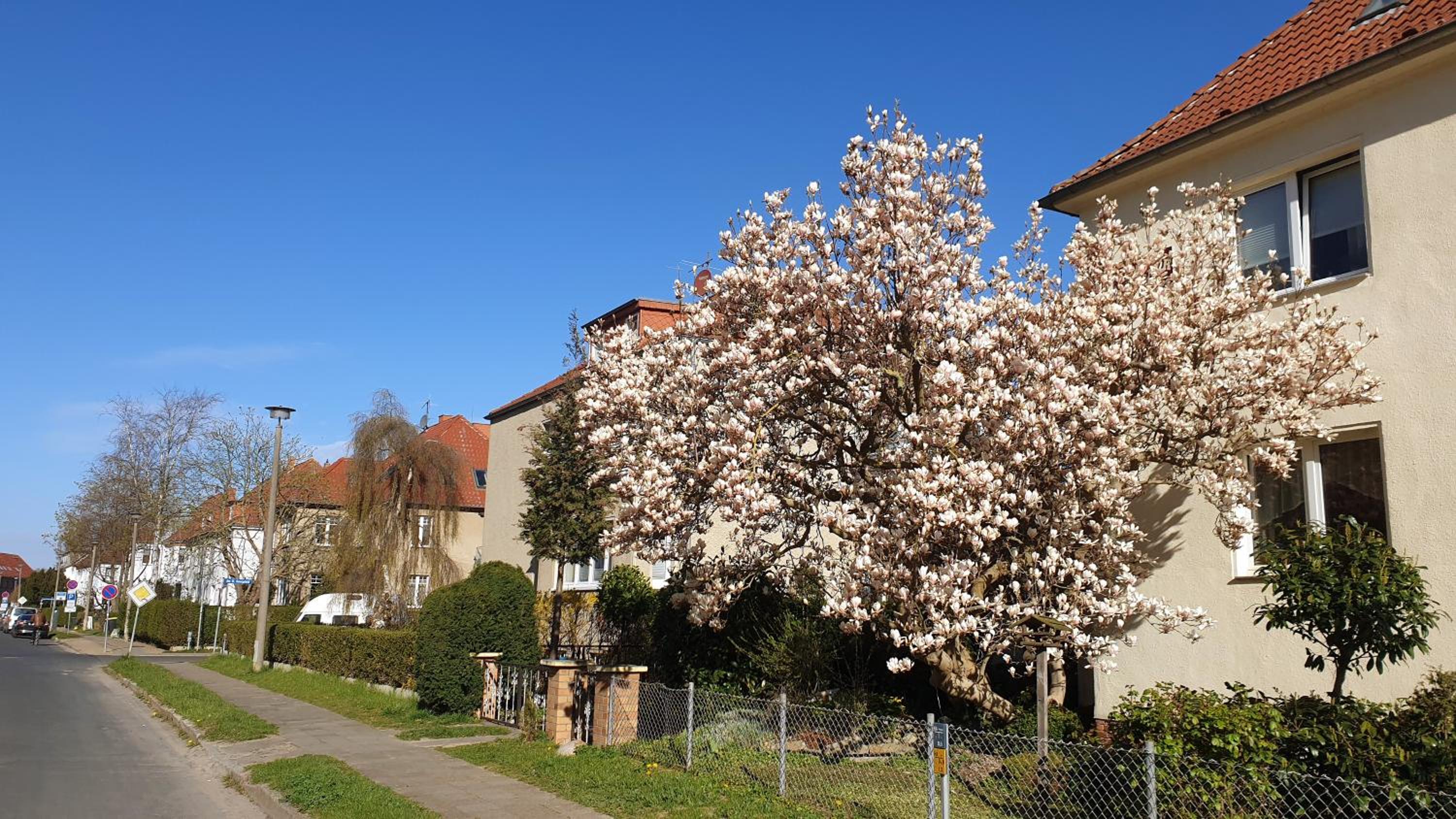 Zimmervermietung Koltermann view 3