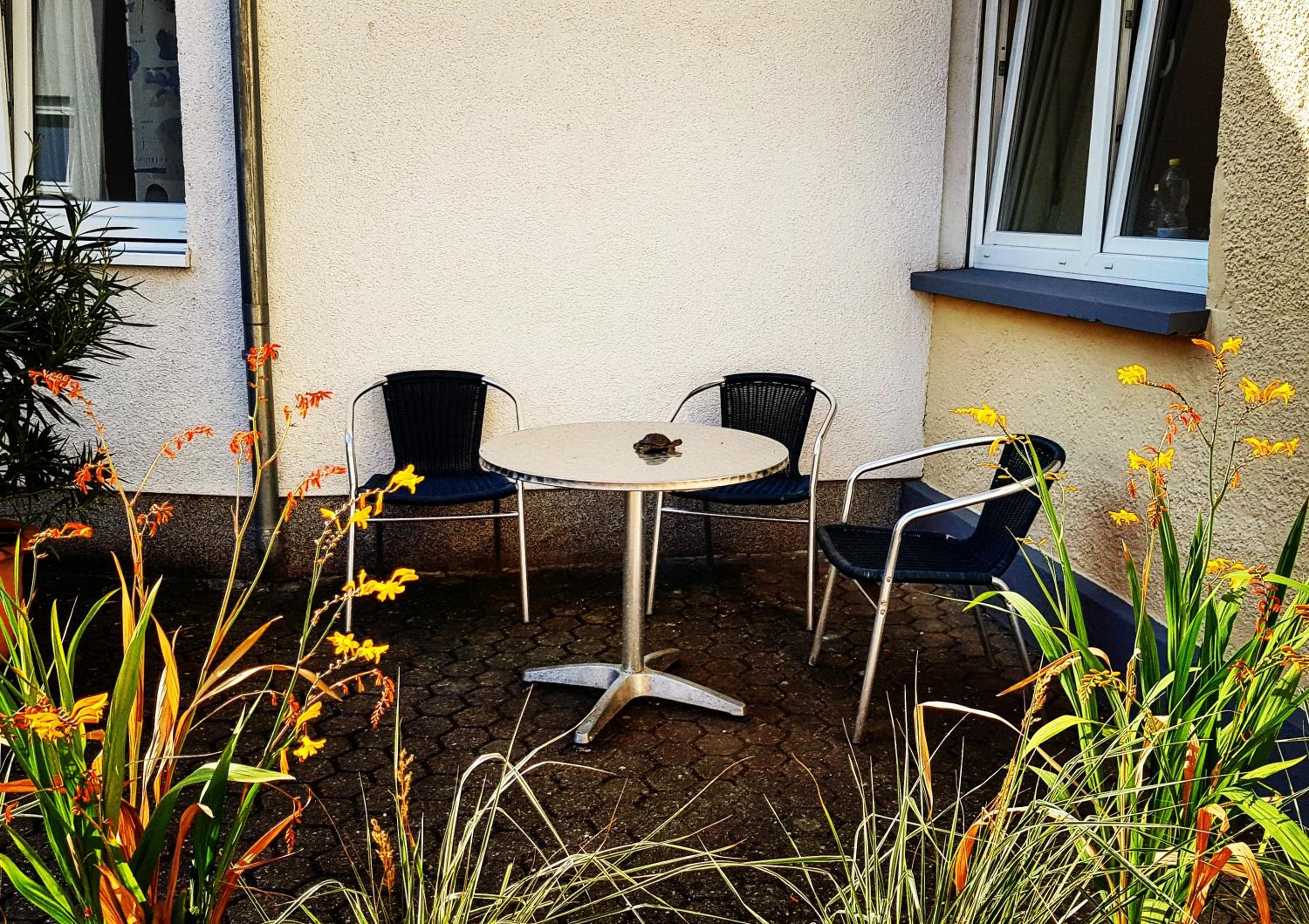 Ferienwohnung im Herzen Neuwied - Heddesdorf