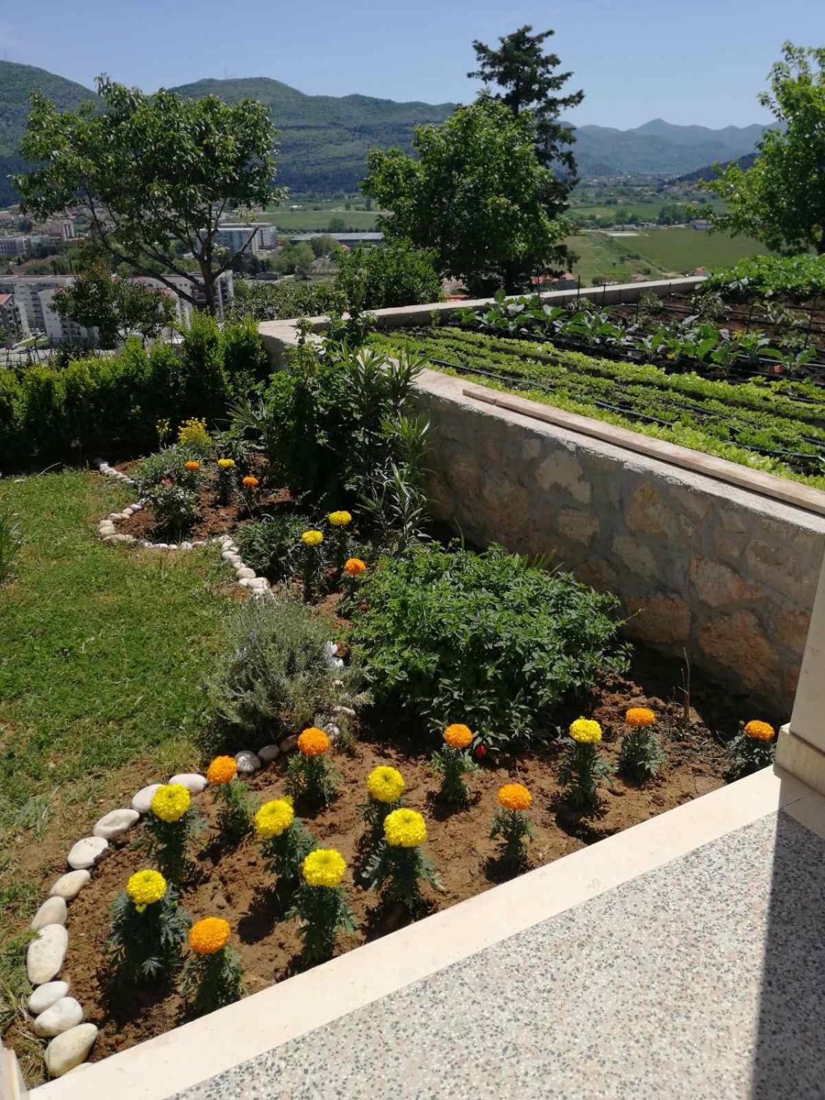 Sun garden apartment
