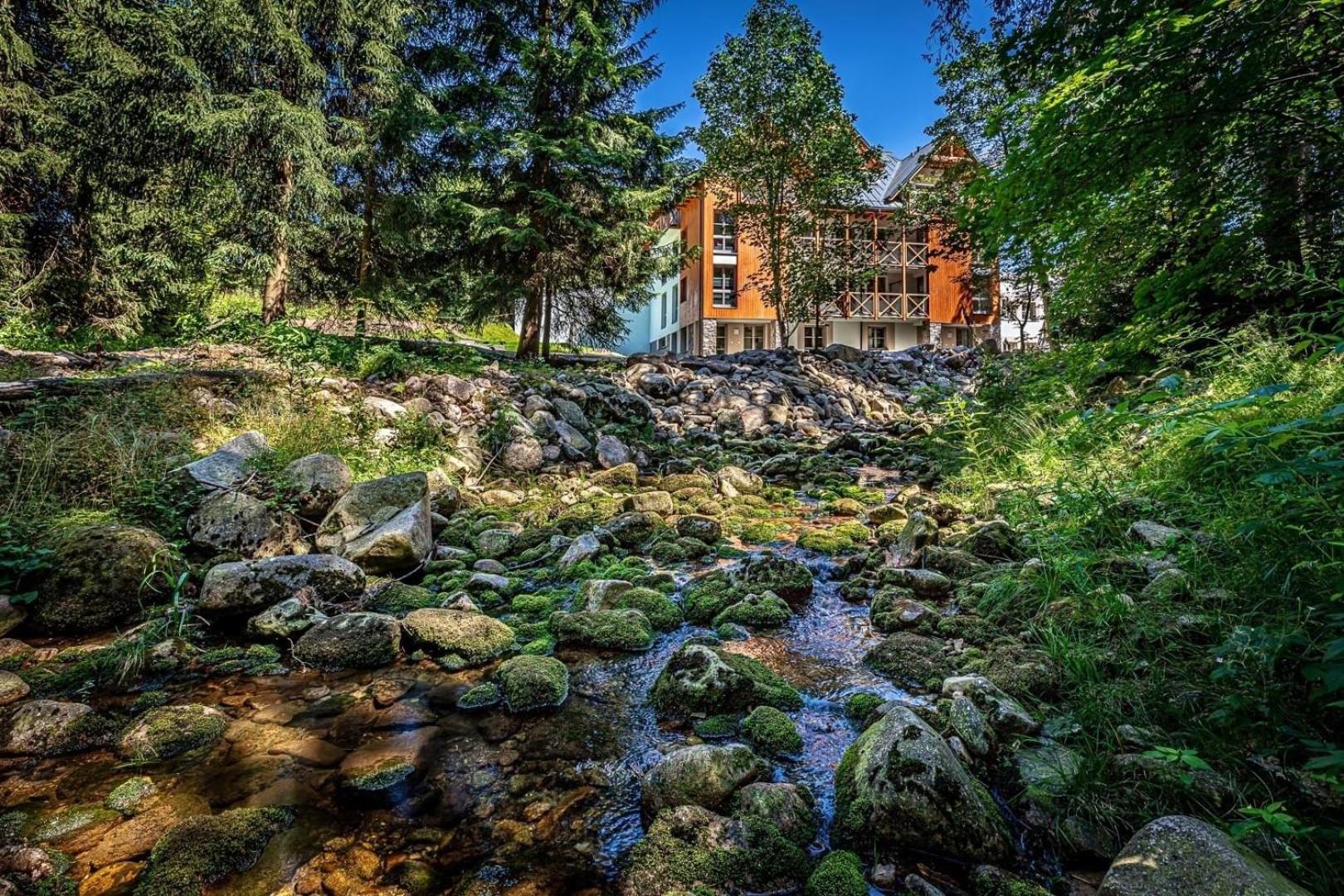 Apartmán A Harrachov view 3