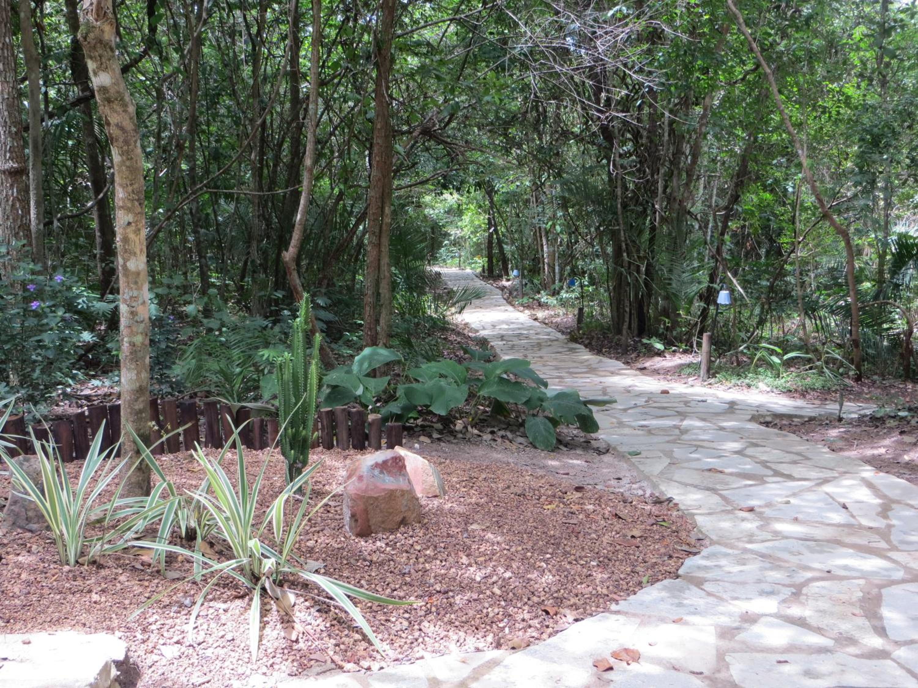Pousada Éden - Conforto, Imersão e Natureza