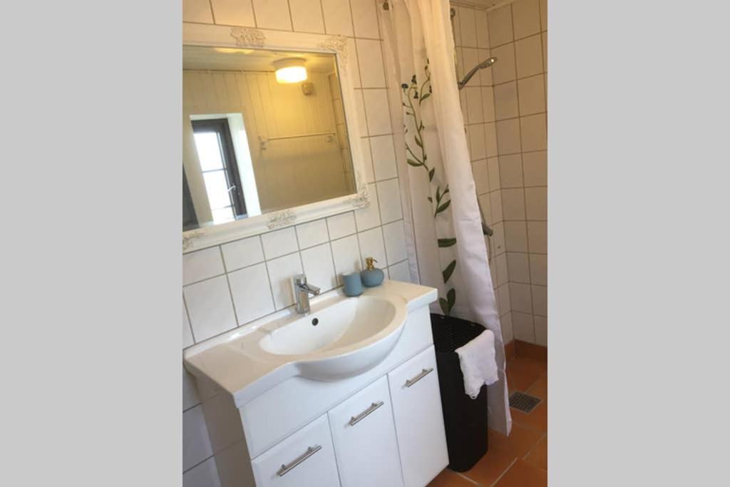 Lejlighed ved Kongeåen