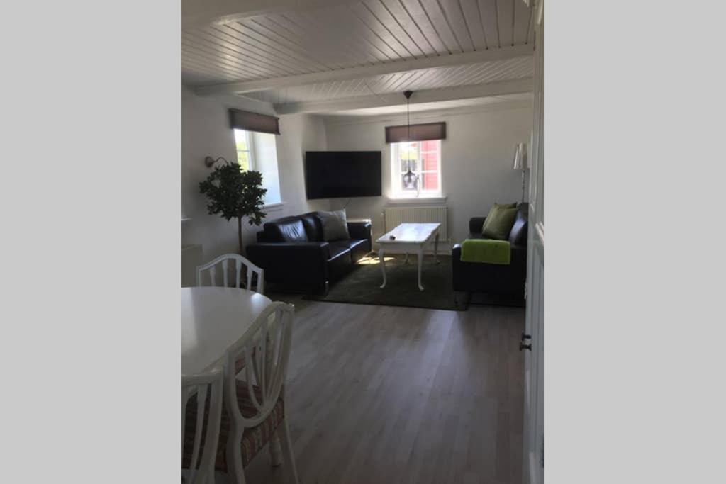 Lejlighed ved Kongeåen